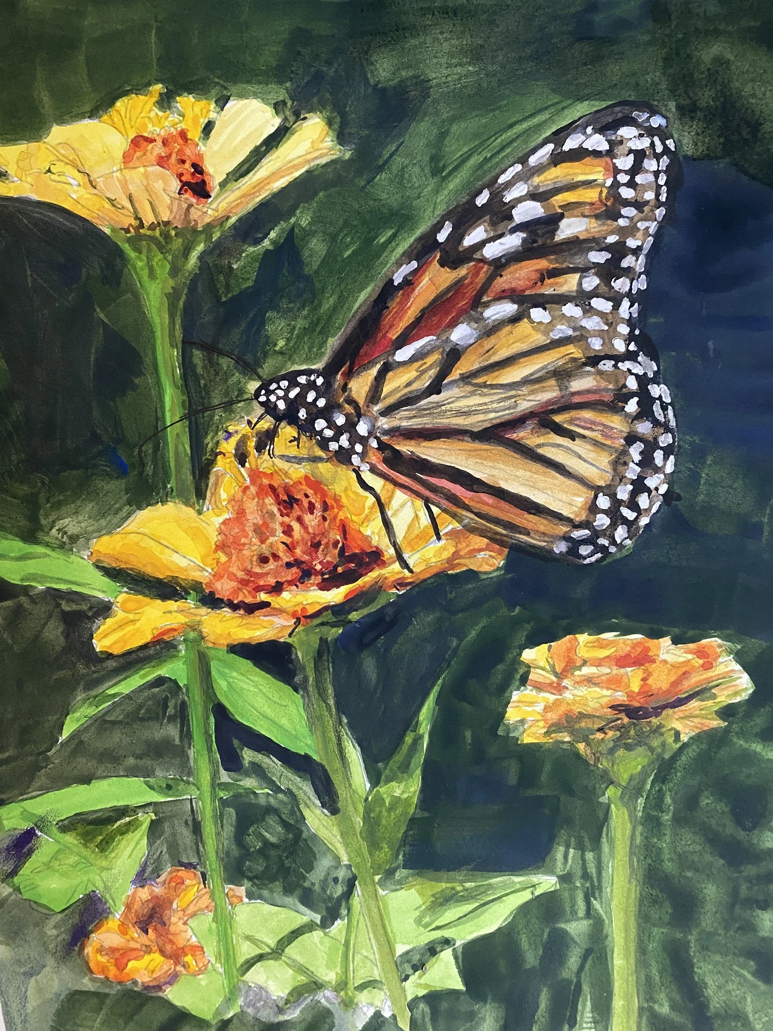 Monarch at Work