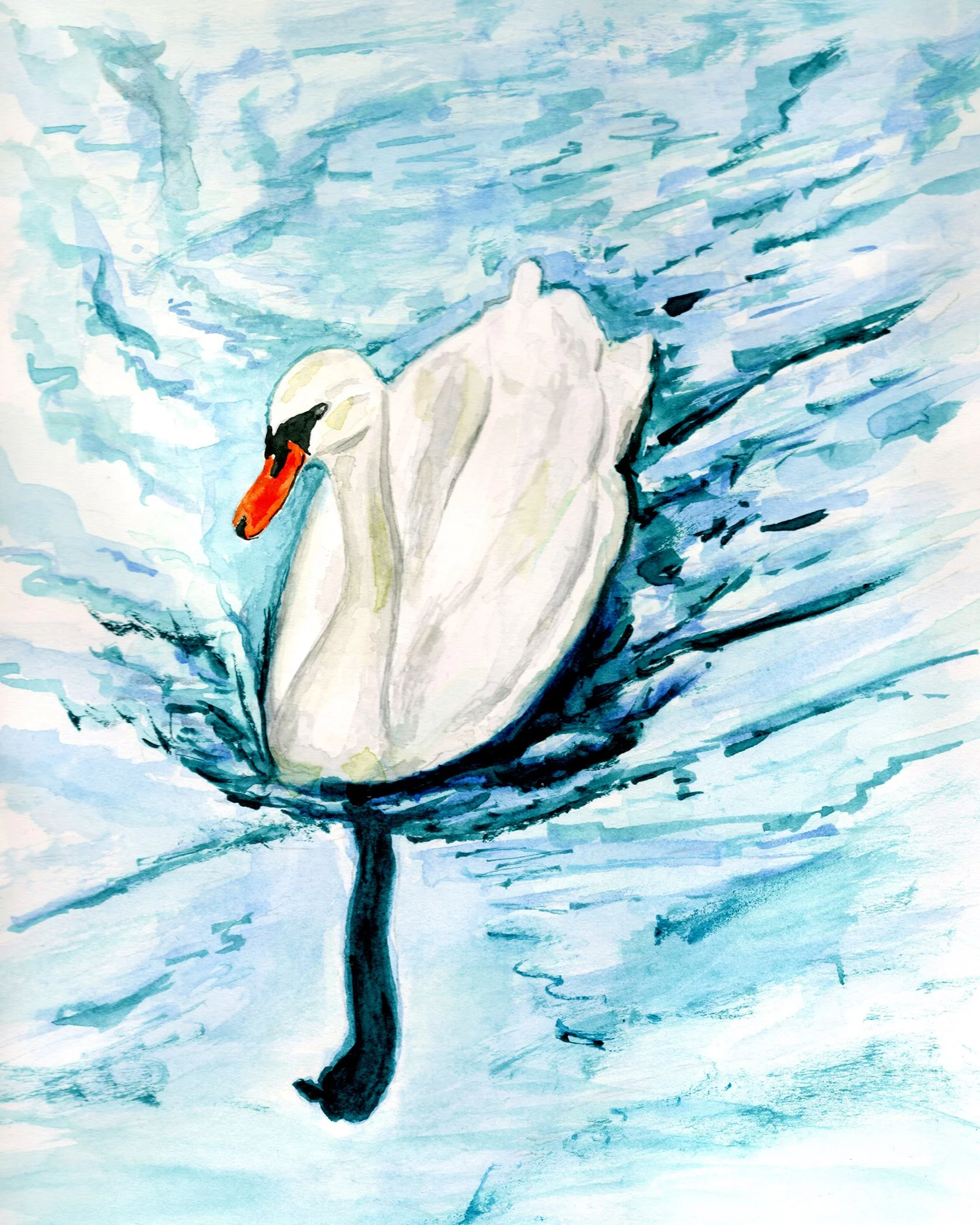 Swan