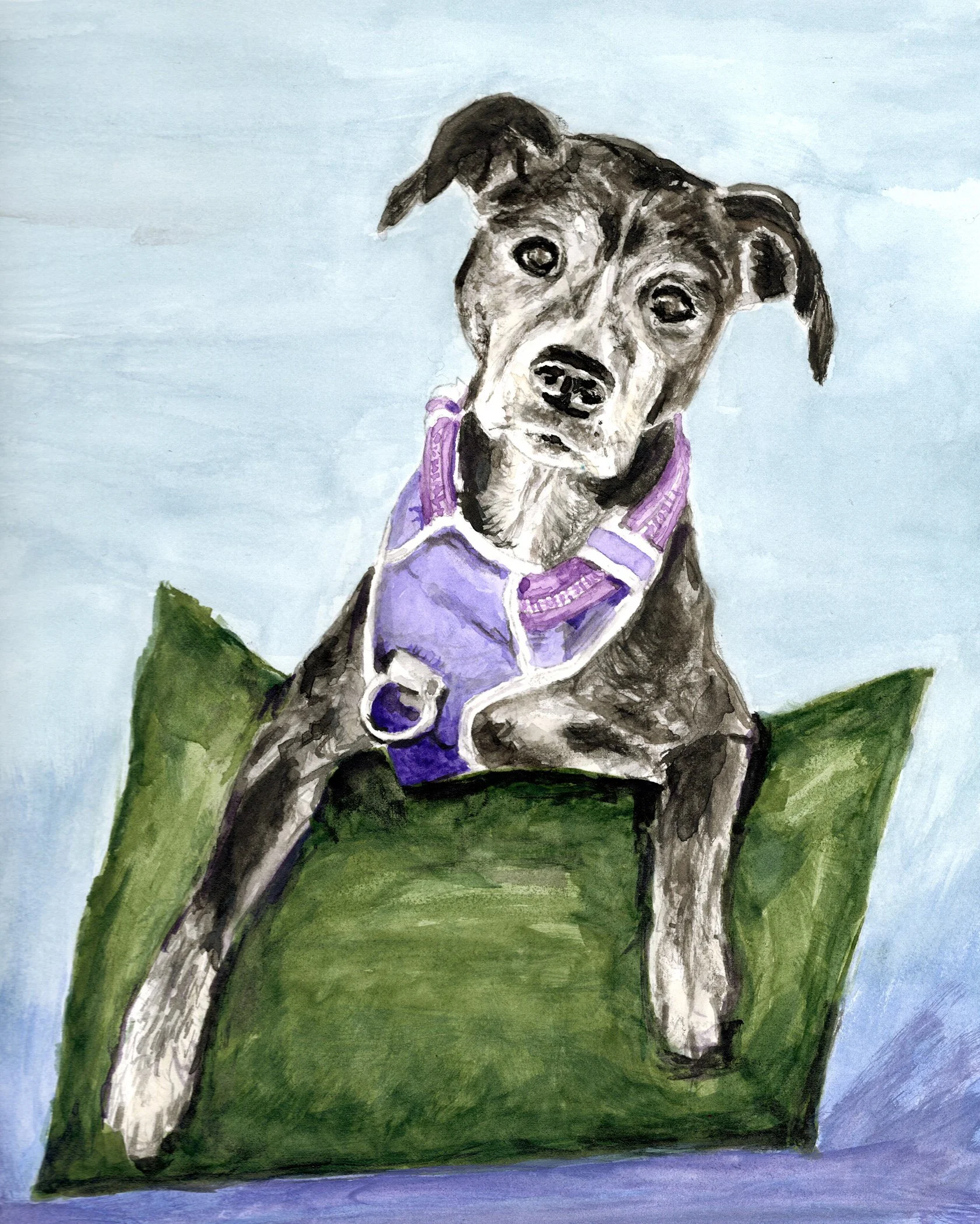 SOLD - Hailey