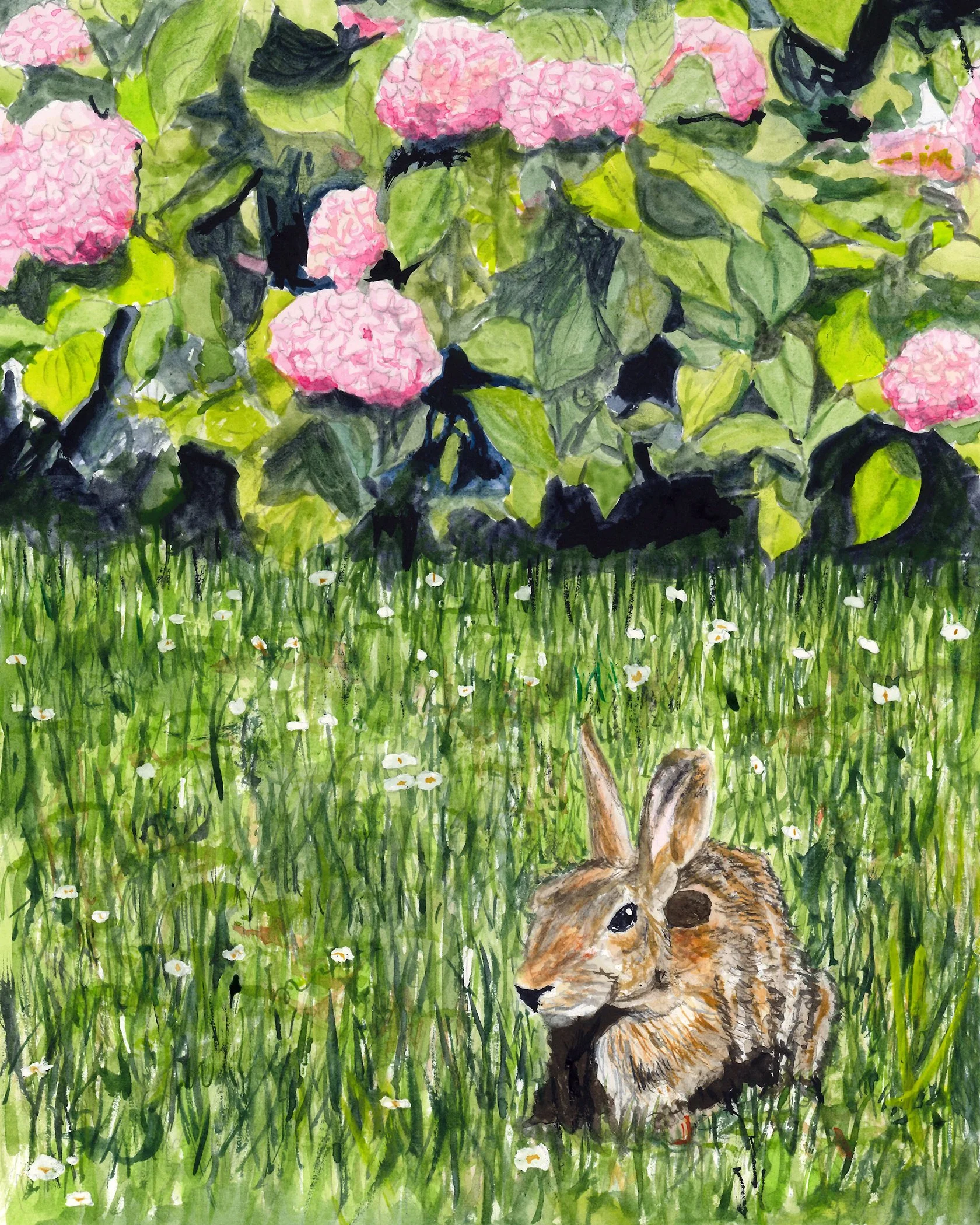 Bunny and Hydrangeas