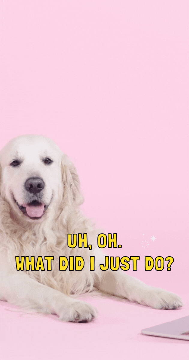 404.gif
