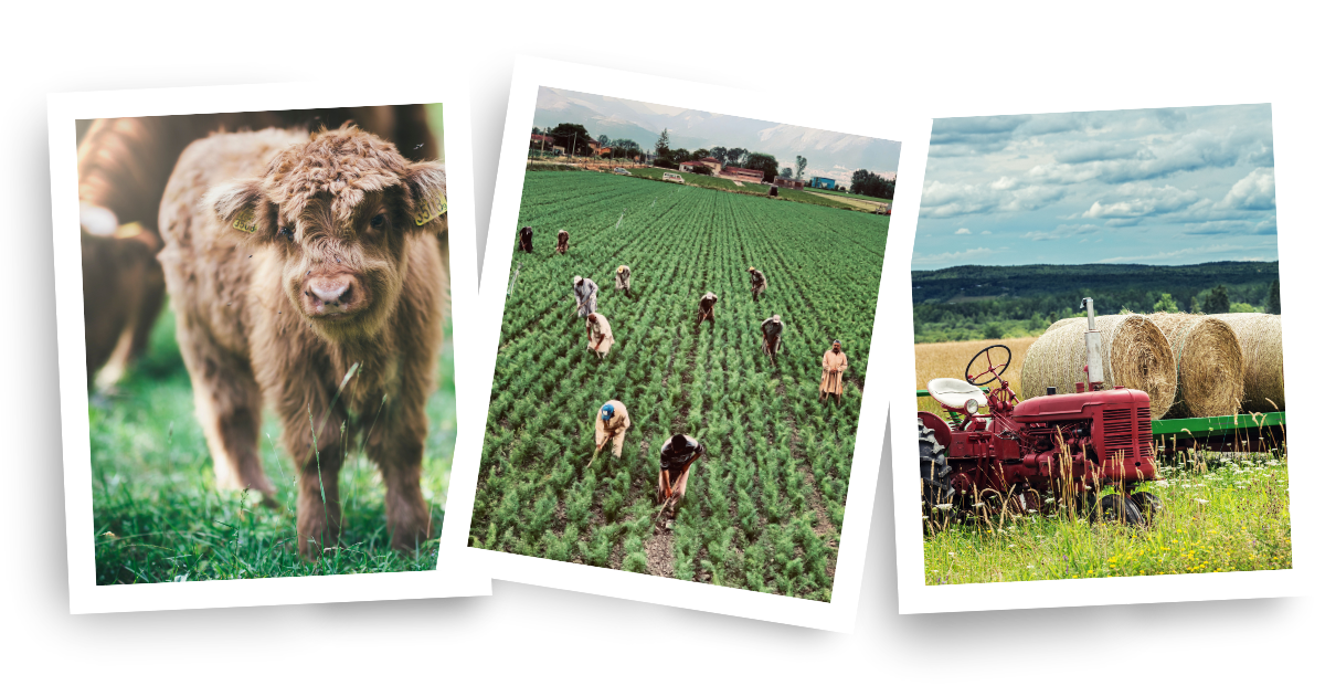Farm Insurance