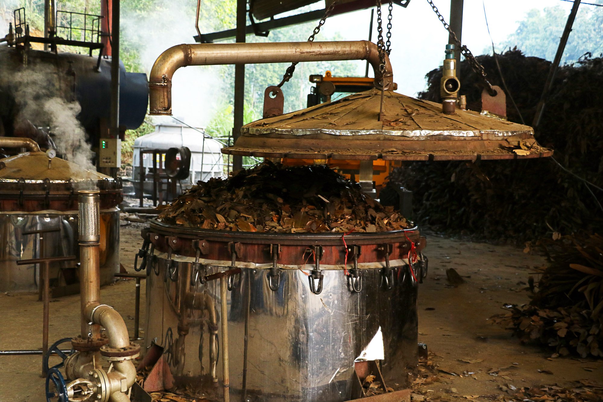 Steam distillation vessel being loaded with plant material at a rural distillery