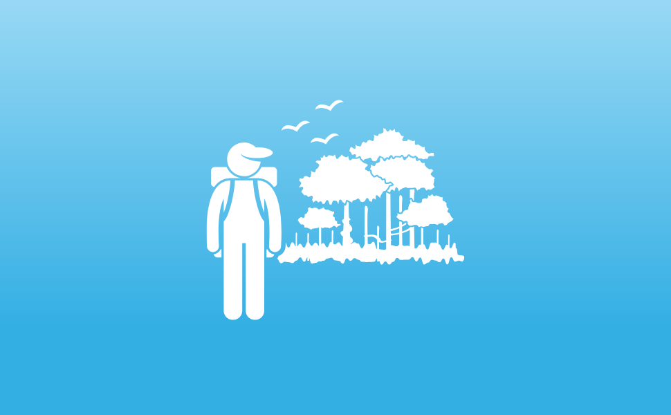 Protect forests