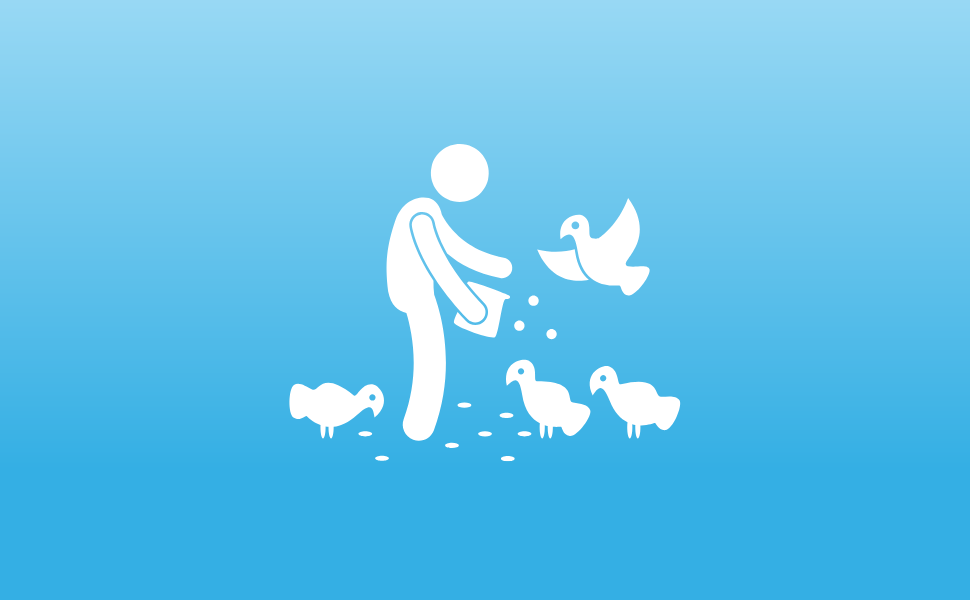 Support wildlife