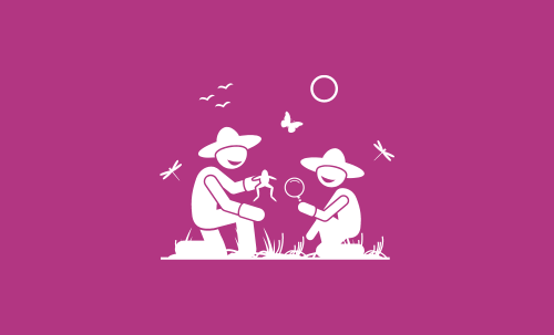Topic 5: Restore Nature Gathering Guides