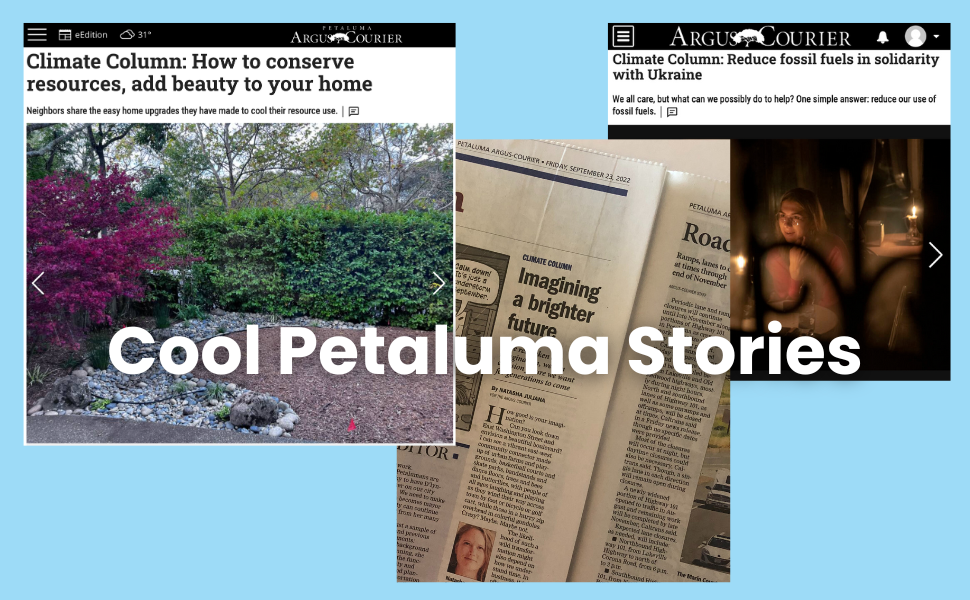 Cool Petaluma Stories
