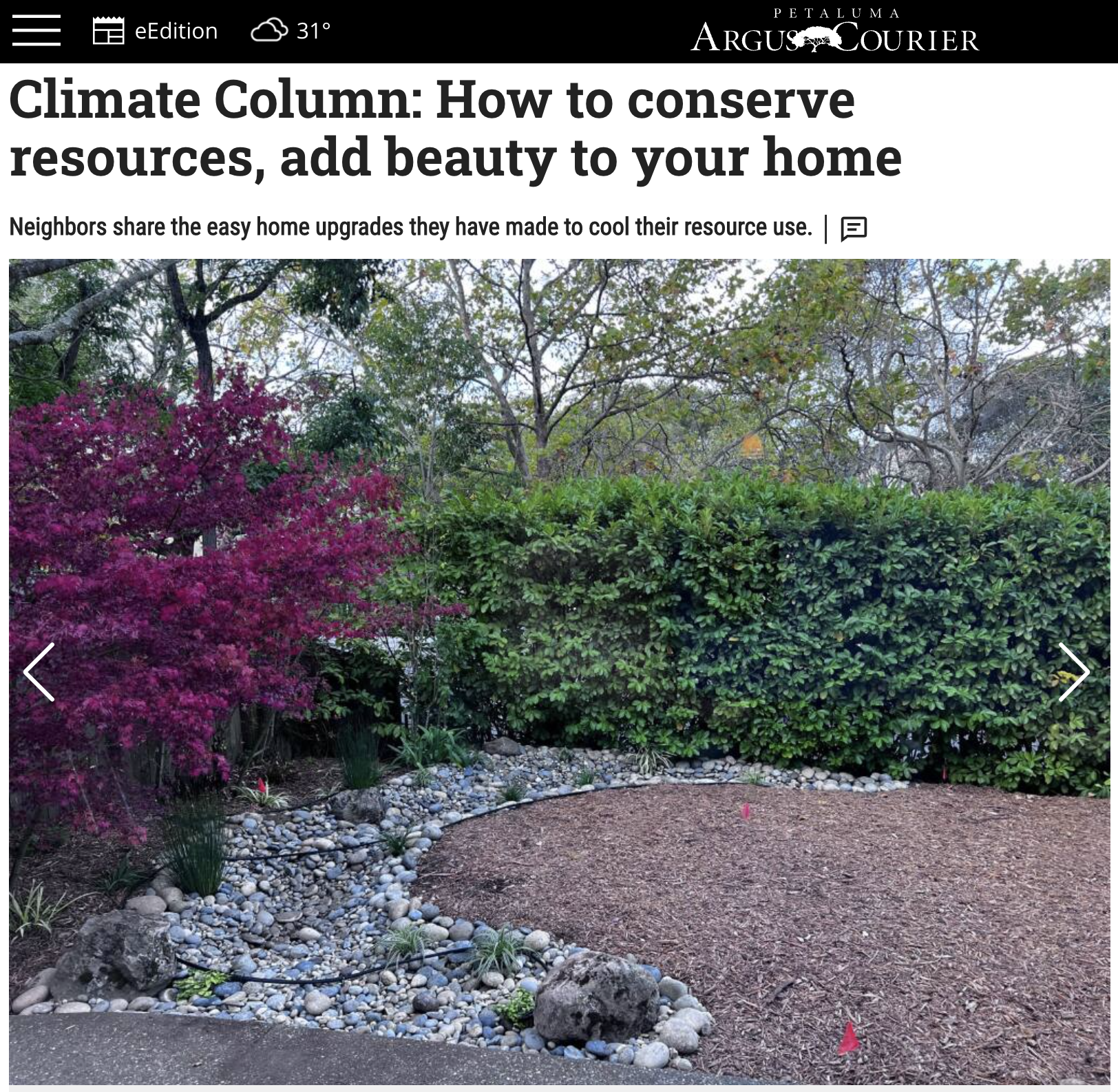 Climate Column: How to conserve resources, add beauty to your home