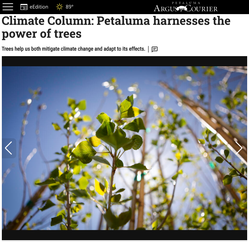 Climate Column: Petaluma harnesses the power of trees