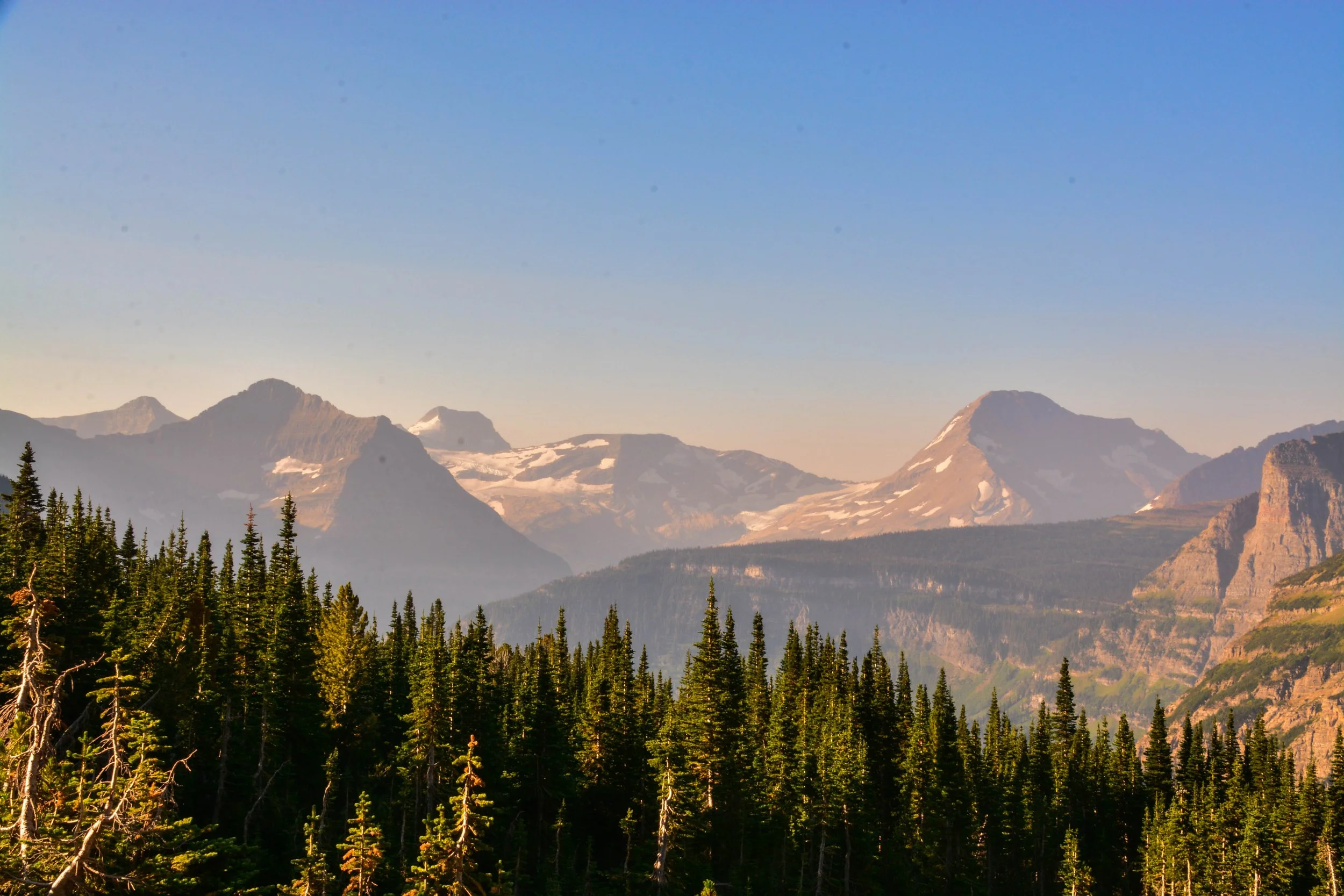 Mountain range with snow-capped peaks behind a forest of tall green trees under a clear blue sky.