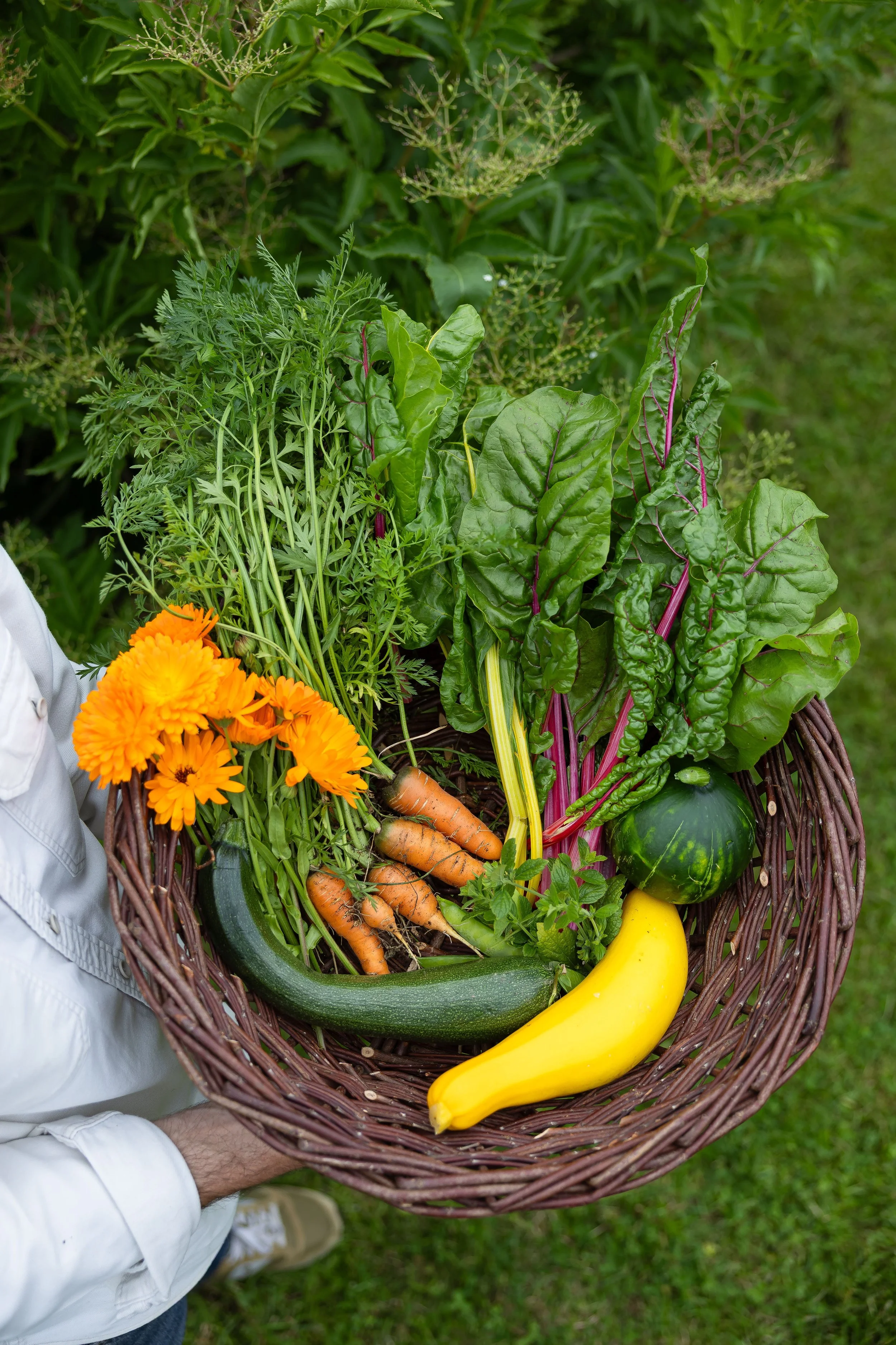 A person in a white jacket holding a basket of fresh vegetables and flowers outdoors. The basket contains carrots, a zucchini, a yellow banana, a watermelon, and a bouquet of orange marigolds. The background shows green grass and foliage.