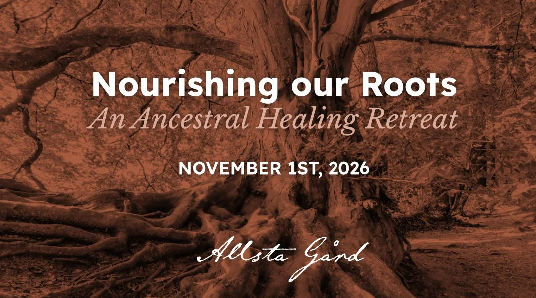 Nourishing Our Roots: A Day of Ancestral Healing at Allsta Gård