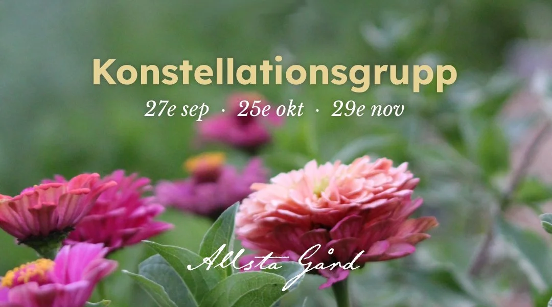 Family Constellation Group