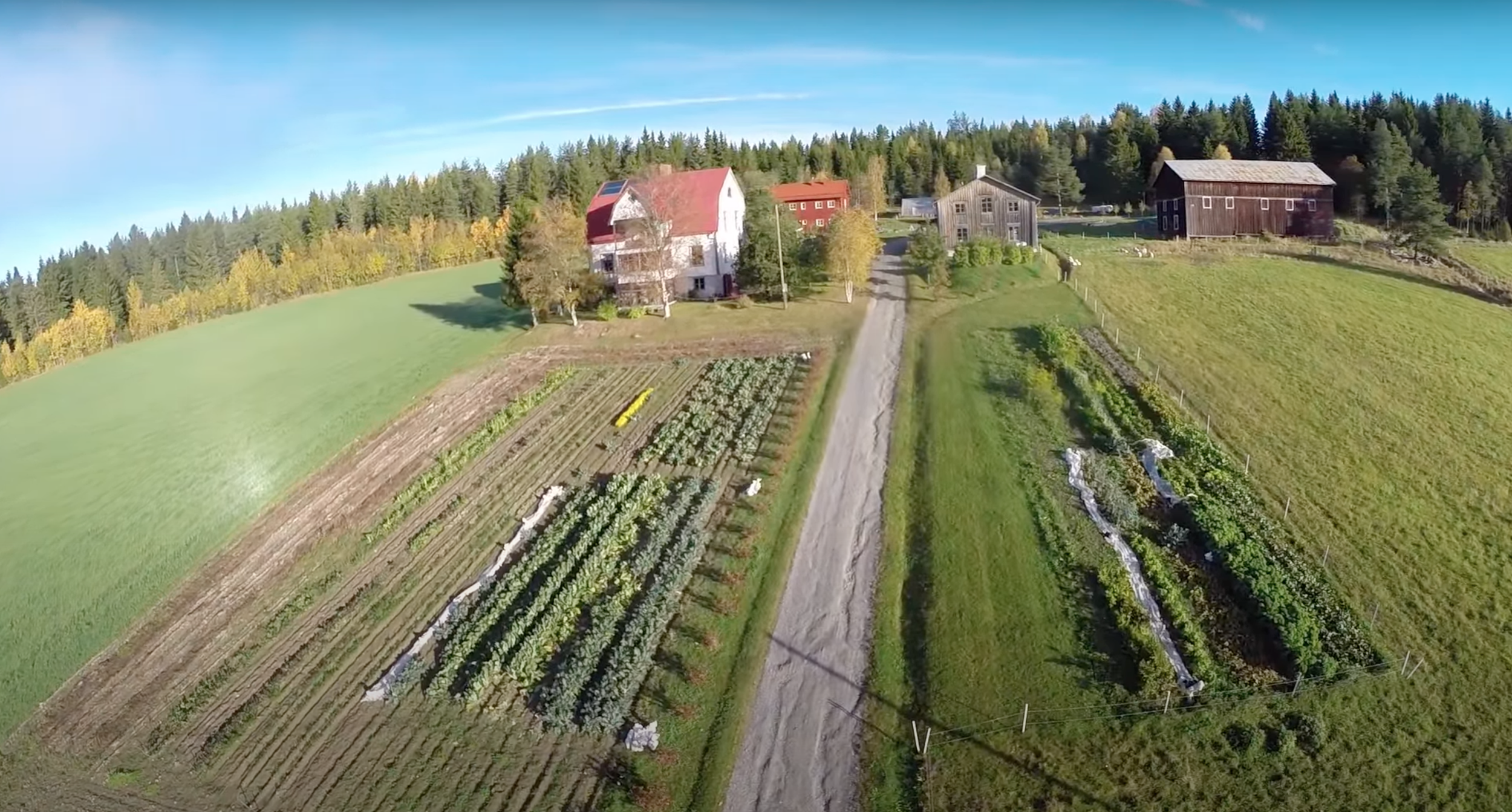 We Bought a Farm