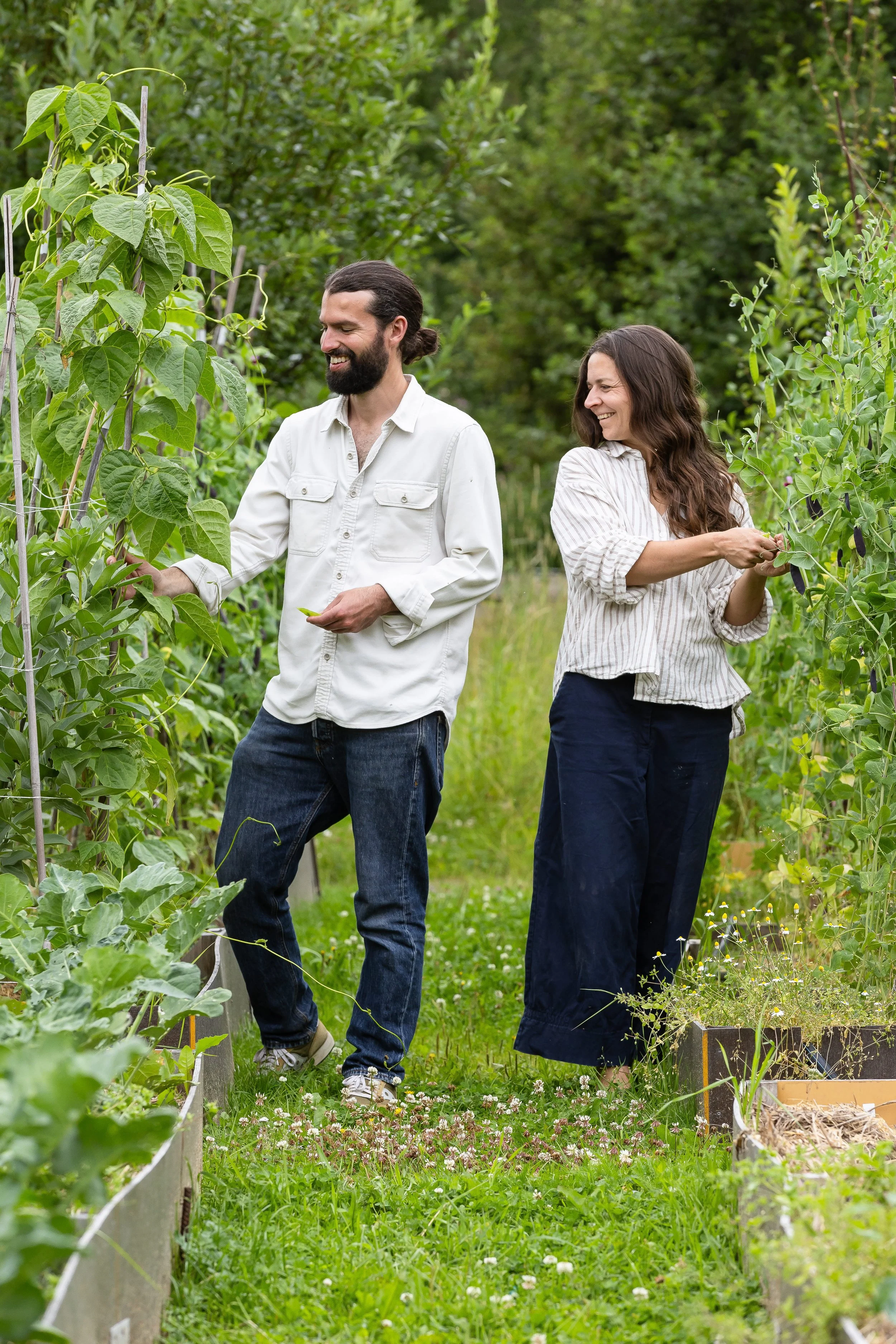 A man with a beard and long hair in a coiled ponytail, wearing a white shirt, laughing and looking at a woman with long wavy hair, wearing a striped shirt, who is tending to plants in a garden with green plants, trees, and planters.