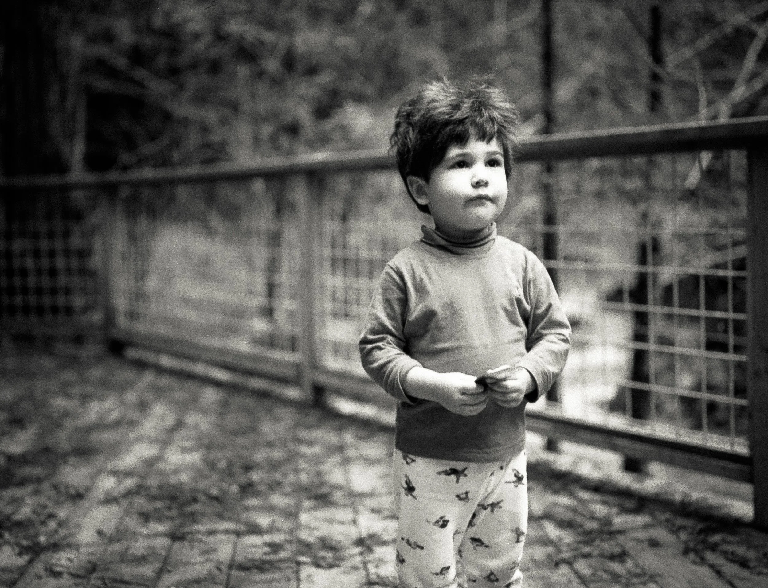 untitled-3.jpg