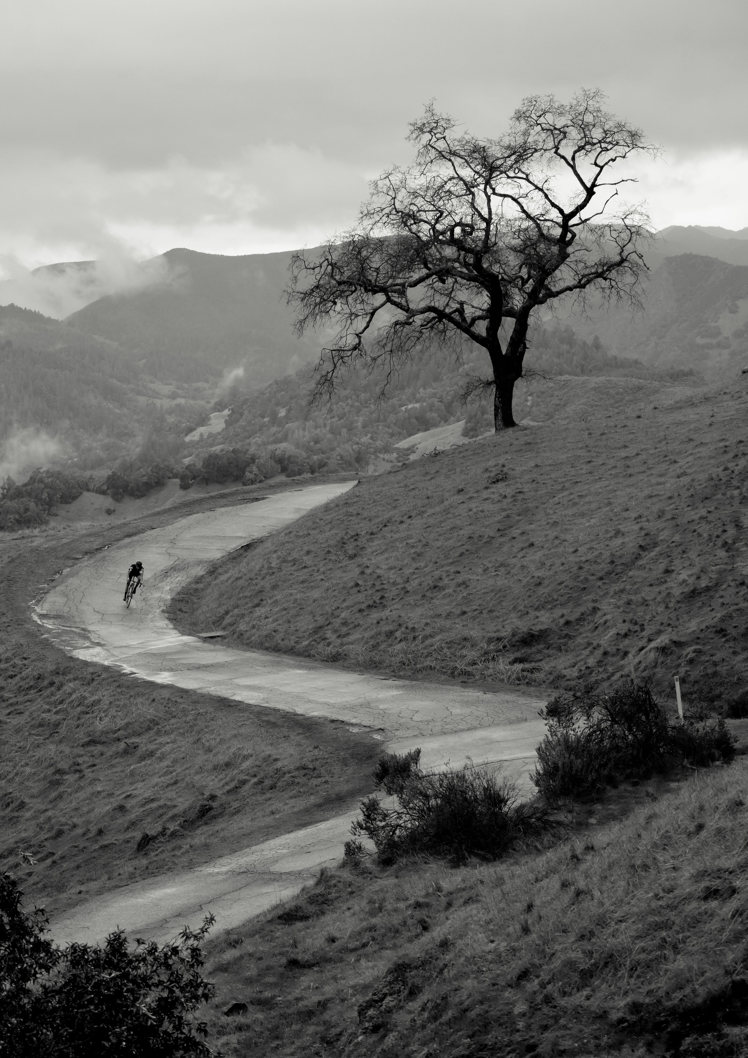 Rapha cc Photo show 30x40 2024-1-4.jpg