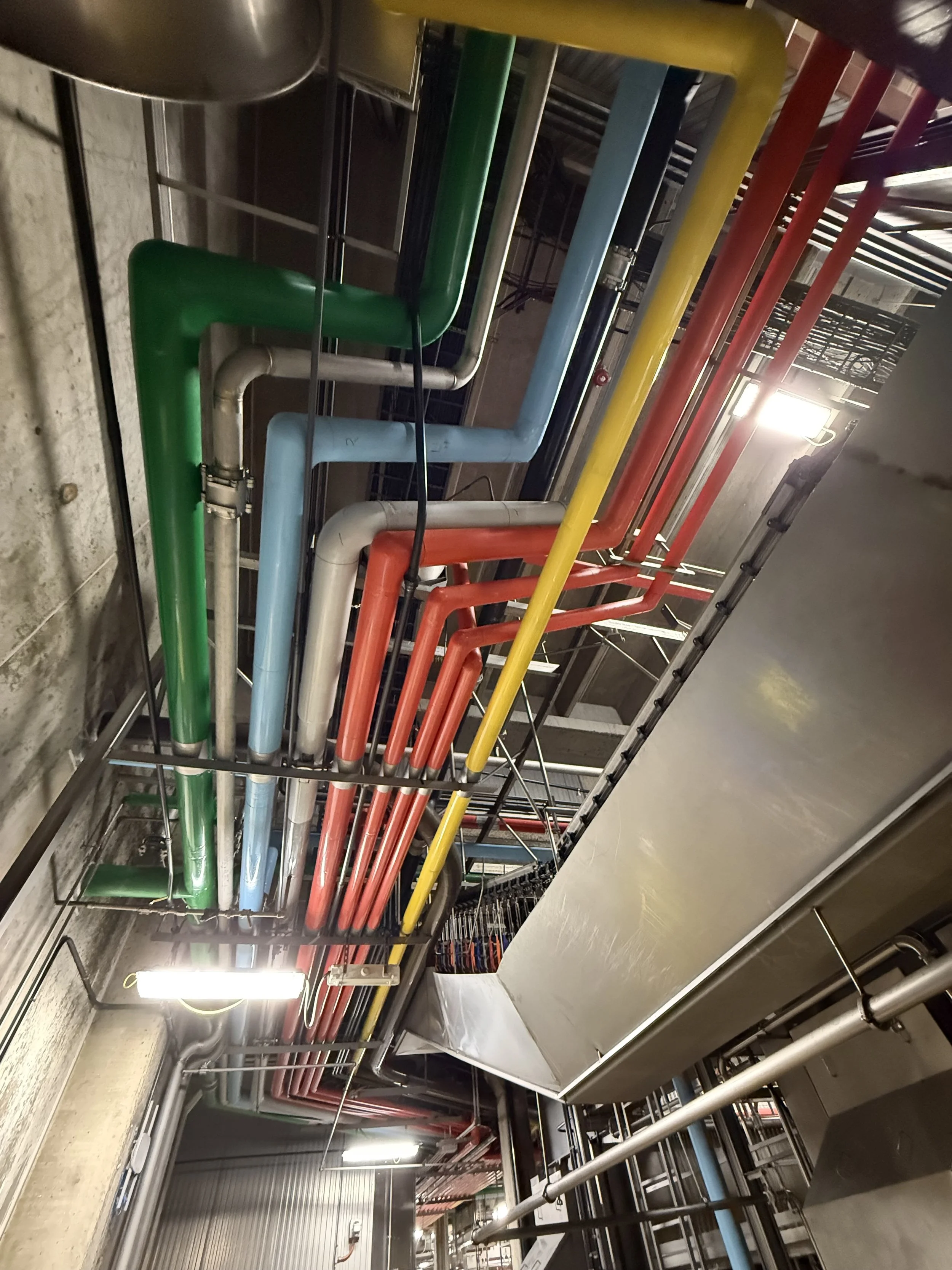A view of a complex network of colorful pipes, including green, blue, yellow, red, and black, running along the ceiling of an industrial or mechanical room, with metal framing and some equipment visible.
