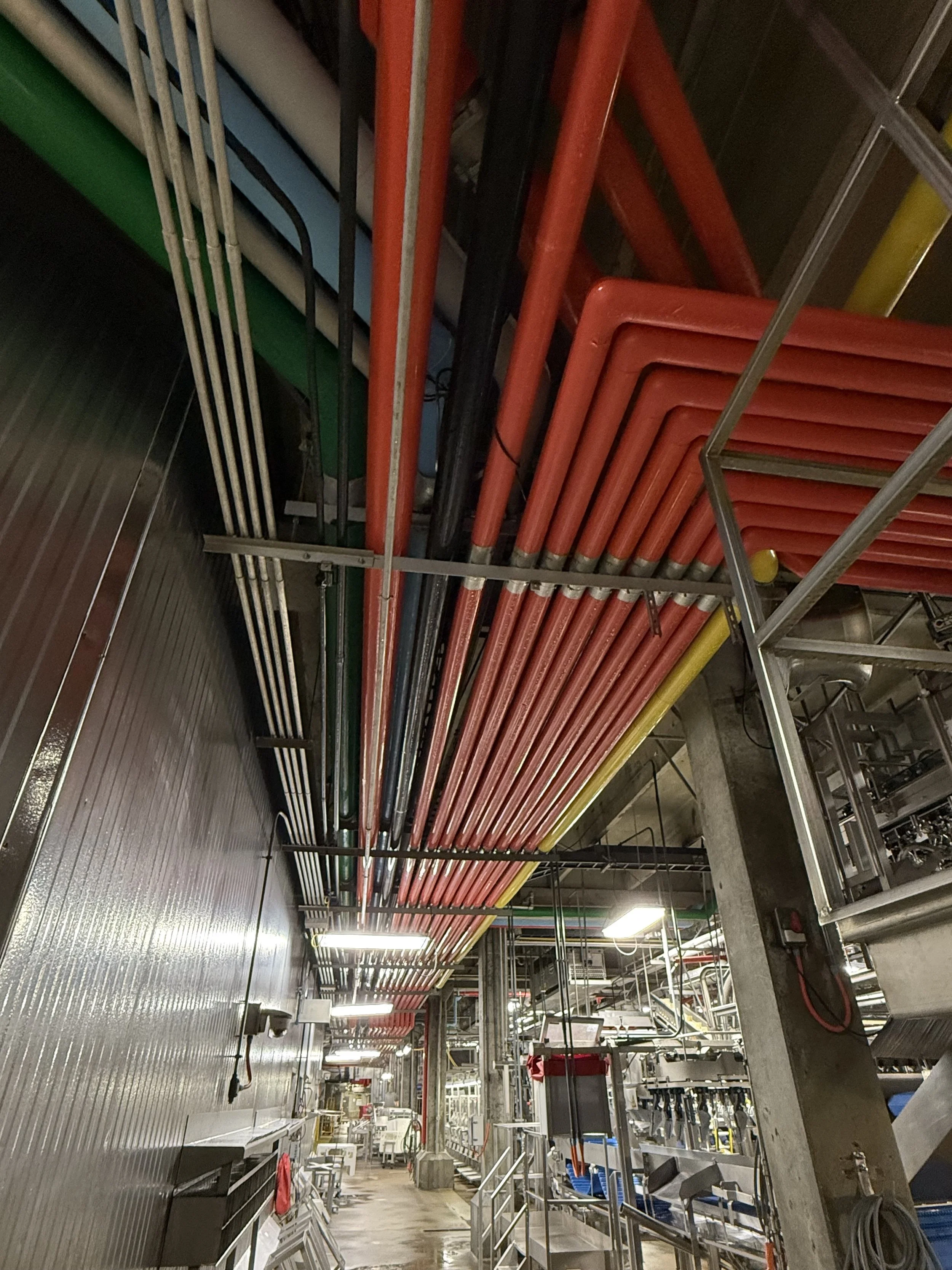 Fire sprinkler pipes, with red, yellow, black, green, blue, and white pipes, are installed on the ceiling of an industrial or commercial kitchen, with some storage racks and equipment visible below.