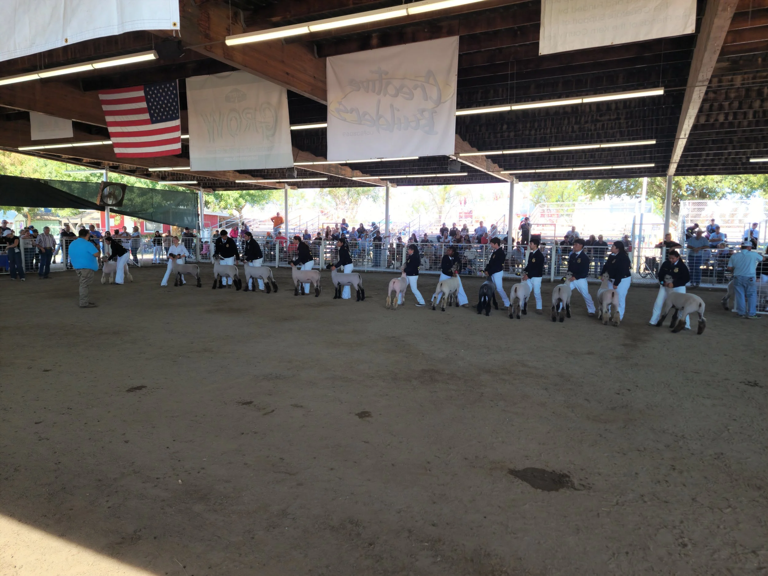 Kern County Fair: Kern Bred and Fed Market Sheep