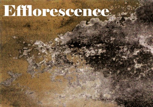 efflorescence