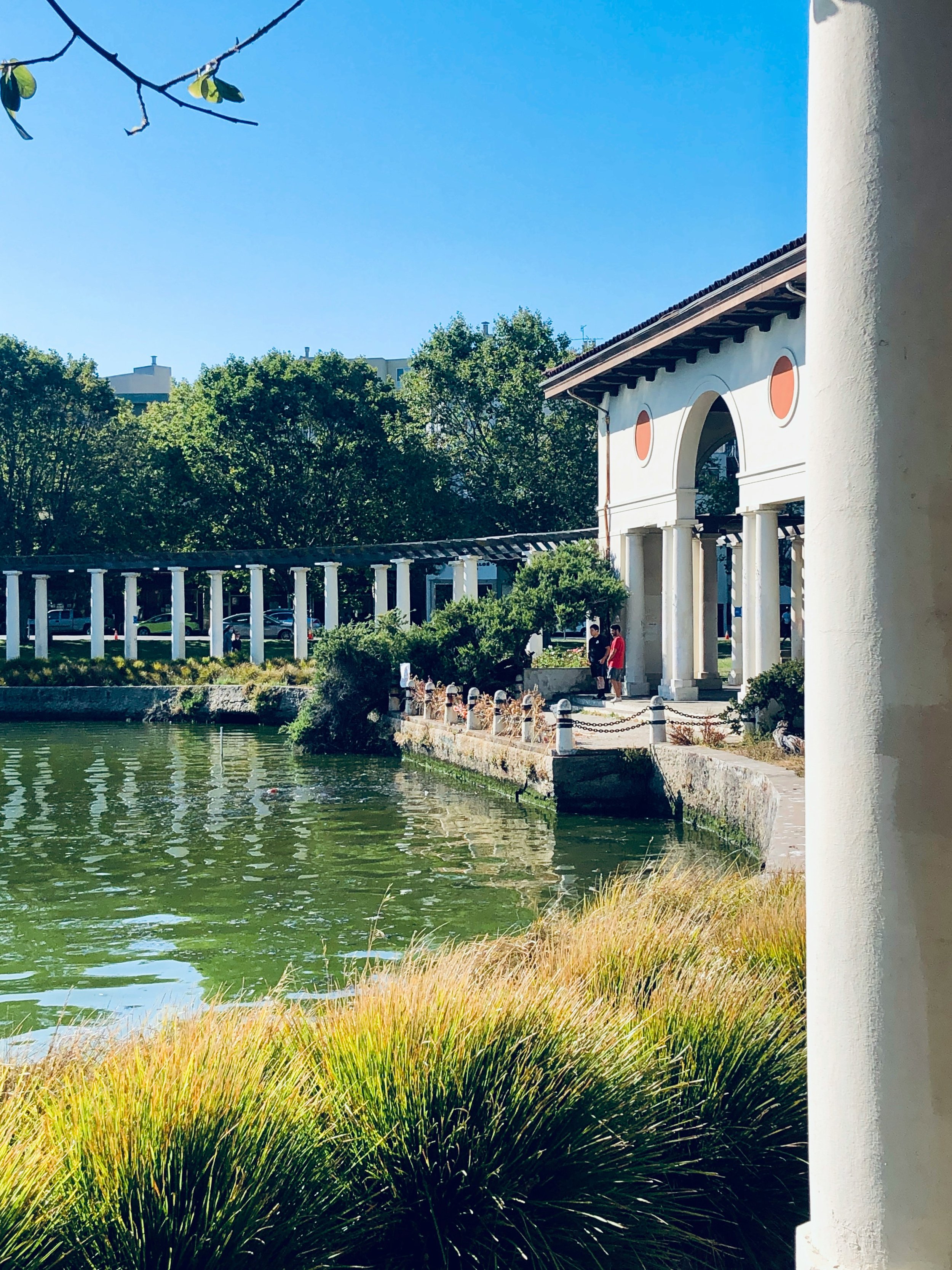 A serene outdoor scene with a body of water in the foreground, surrounded by tall grasses and bushes. In the background, there is a white building with arches and a tiled roof, alongside a row of trees under a clear blue sky.
