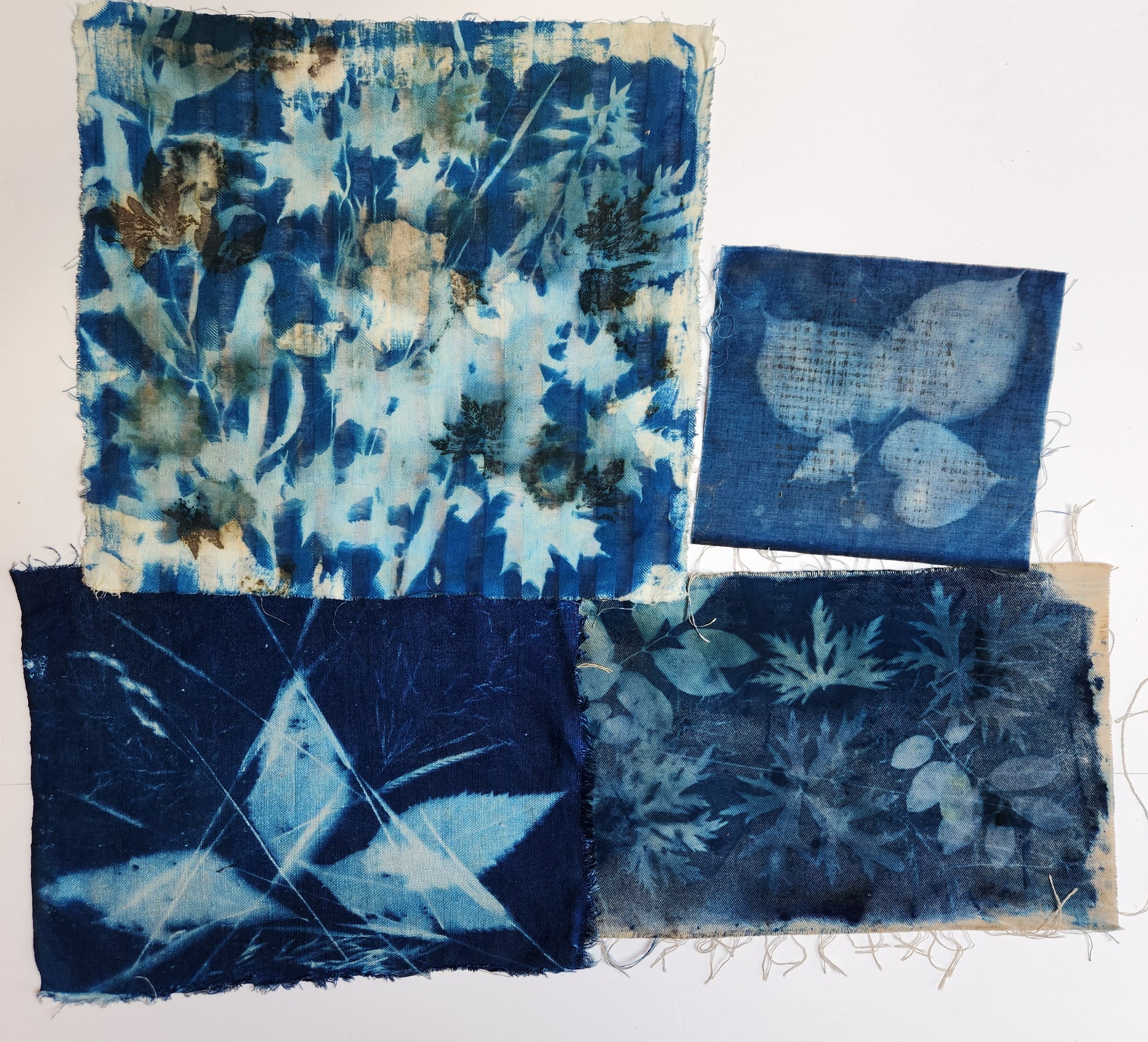 cyanotype sunprinting on fabric leaves,grasses, flowers