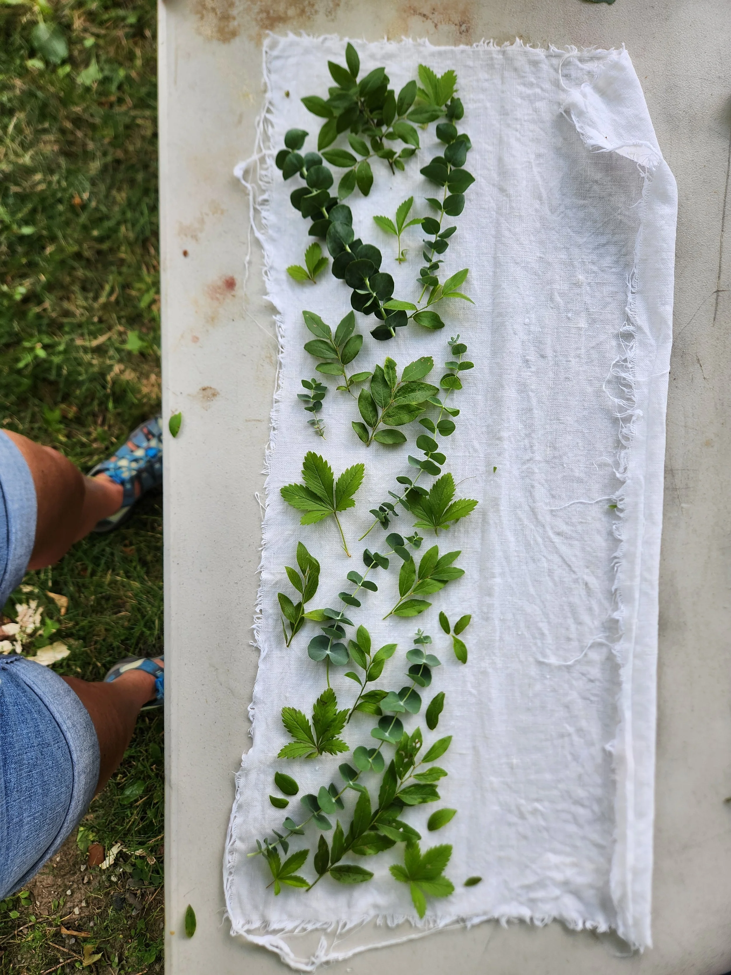 Eco-bundle dyeing exploration with natural leaf prints and earthy botanical textures on raw fabric