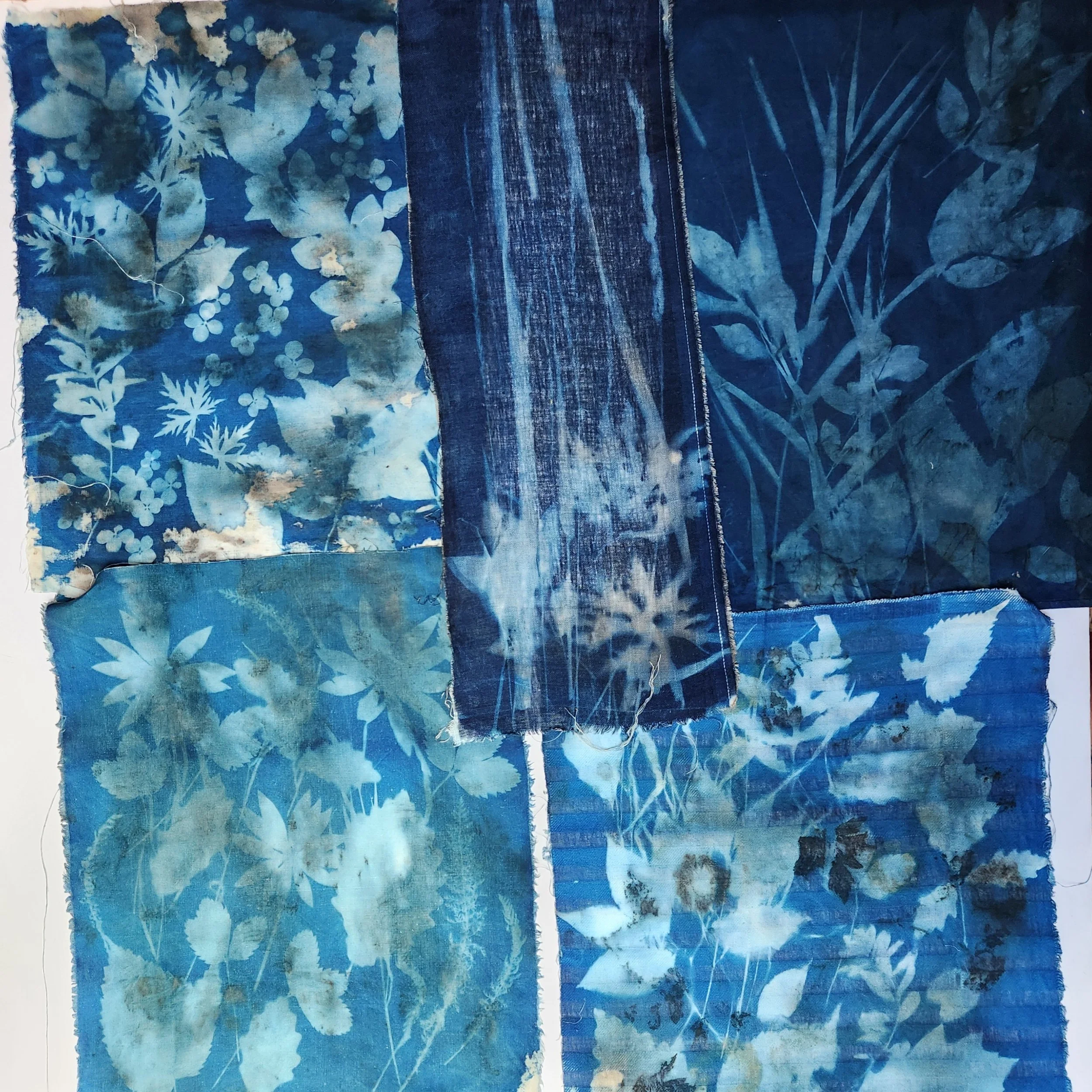 cyanotype sunprinting on fabric leaves, grasses and flower impressions