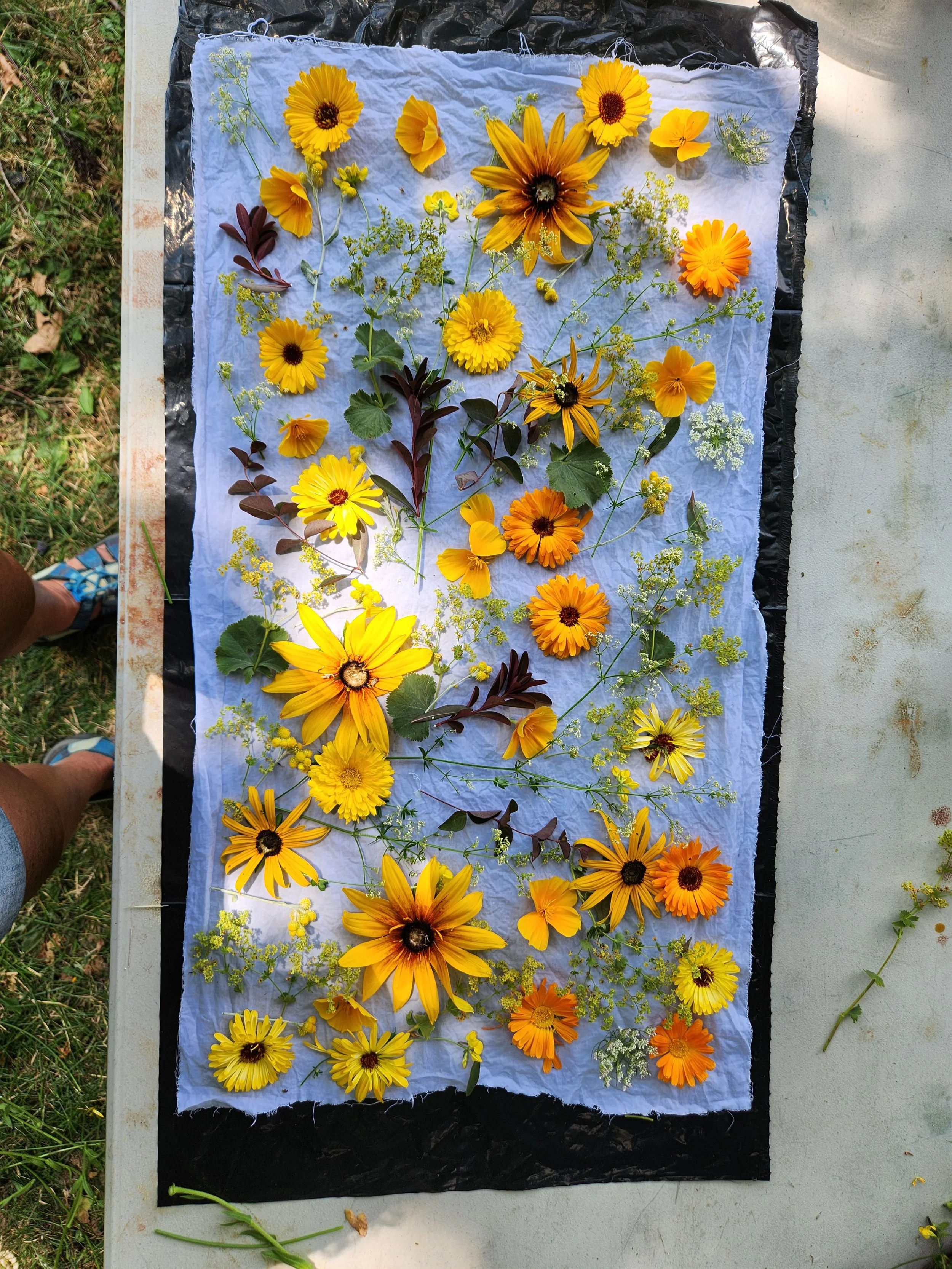 Eco-bundle dyeing exploration with natural leaf prints and earthy botanical textures on raw fabric