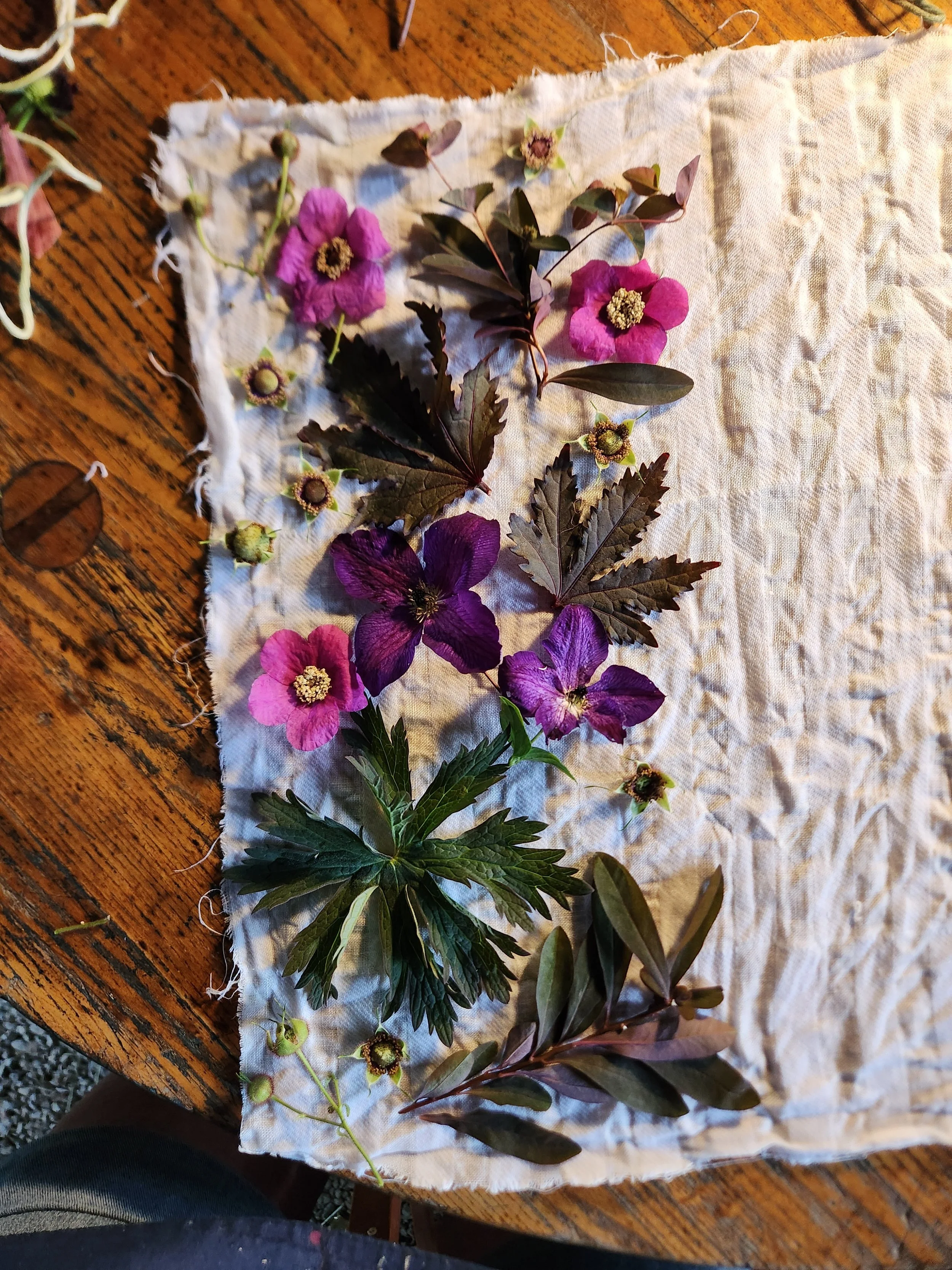 Eco-bundle dyeing exploration with natural leaf prints and earthy botanical textures on raw fabric