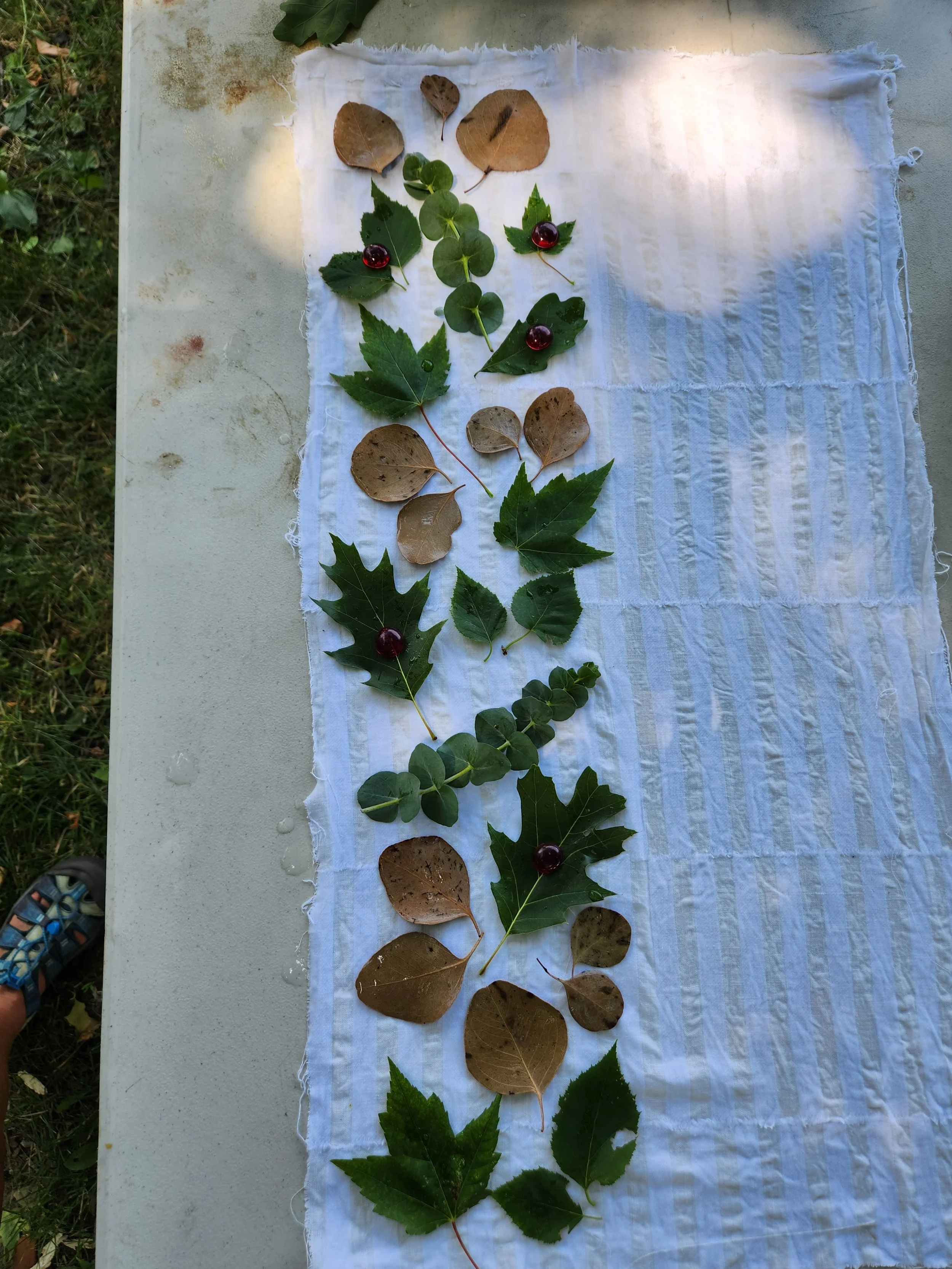 Eco-bundle dyeing exploration with natural leaf prints and earthy botanical textures on raw fabric