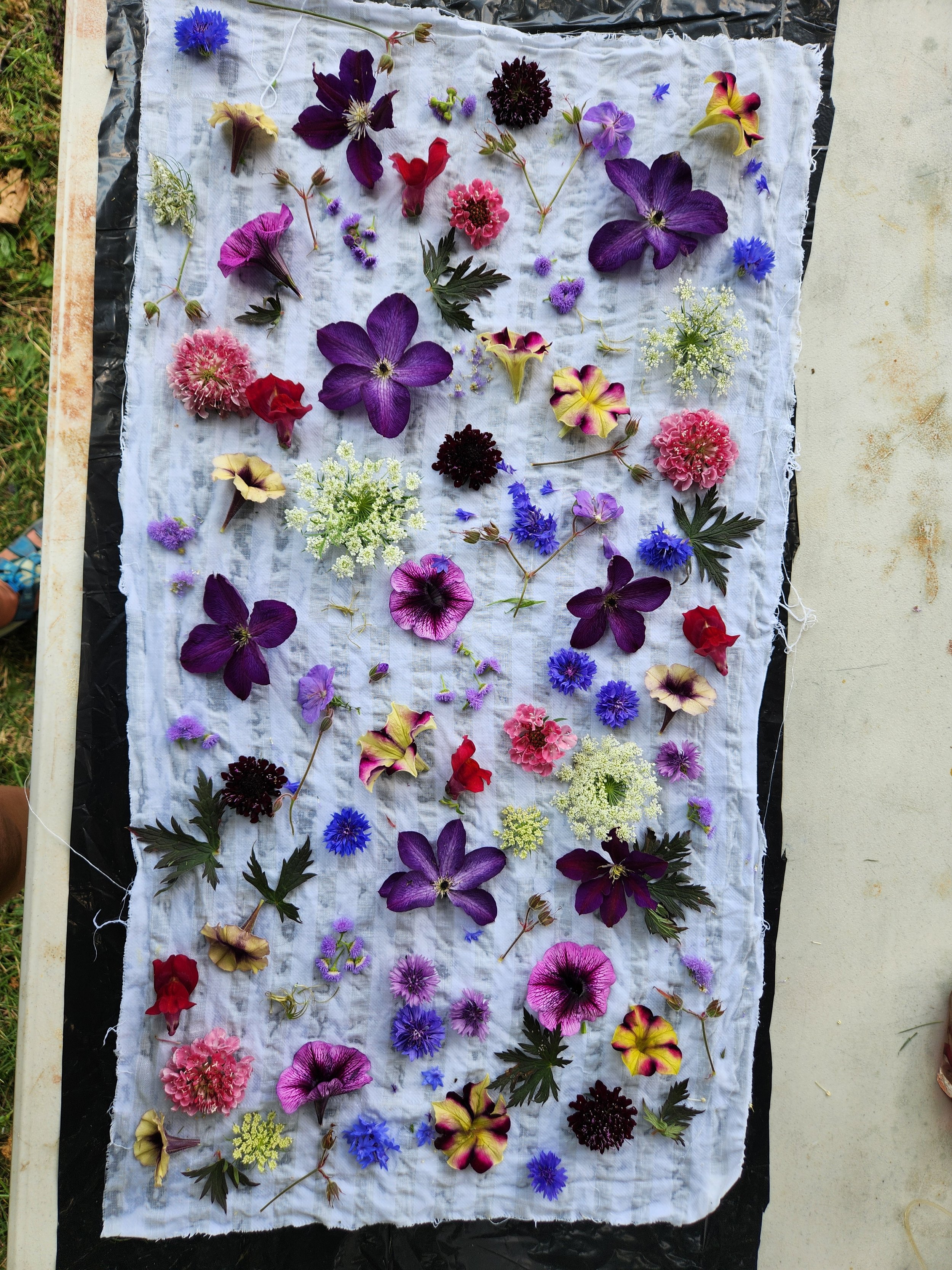 Eco-bundle dyeing exploration with natural leaf prints and earthy botanical textures on raw fabric