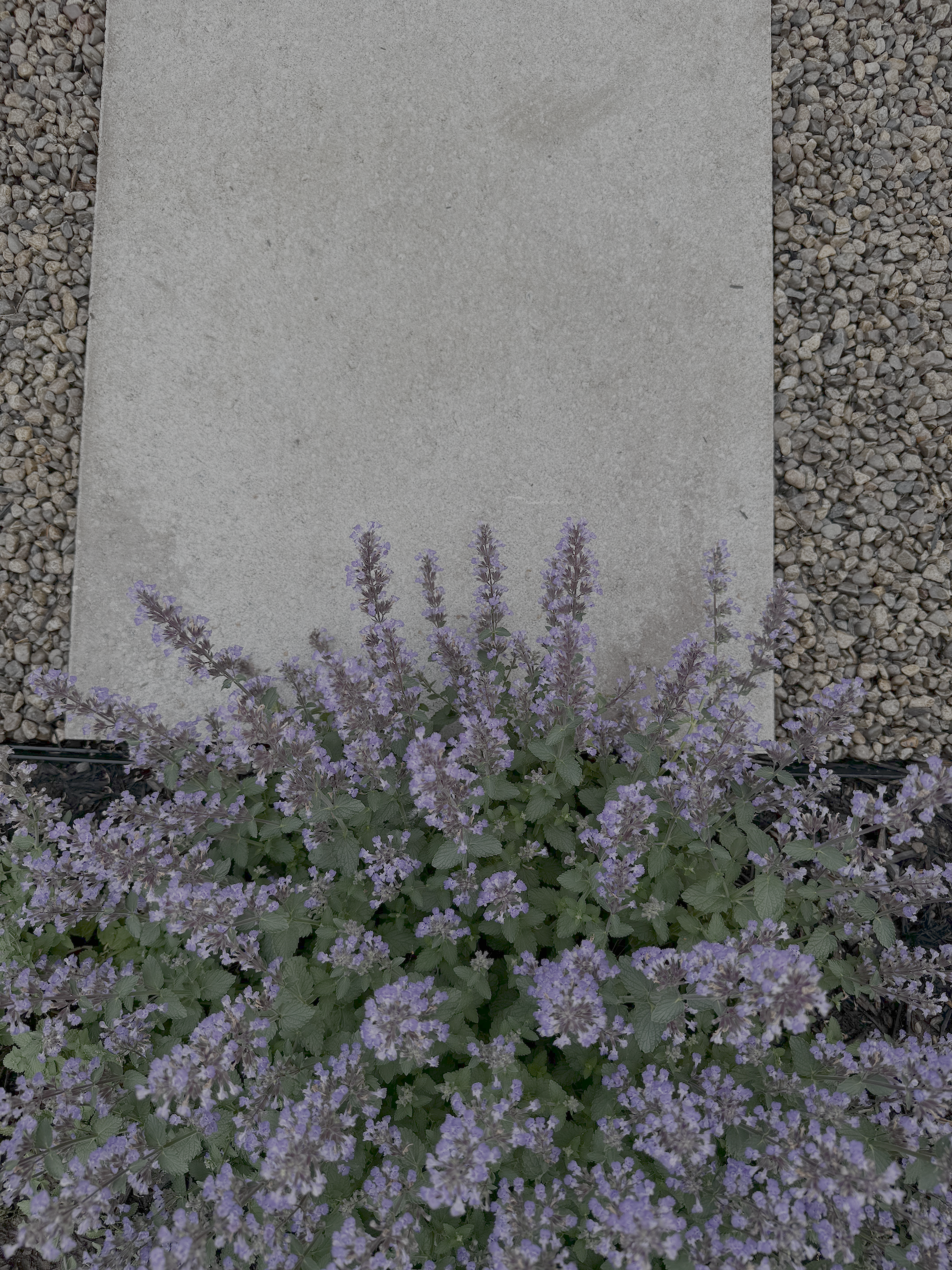IMG_2192.png