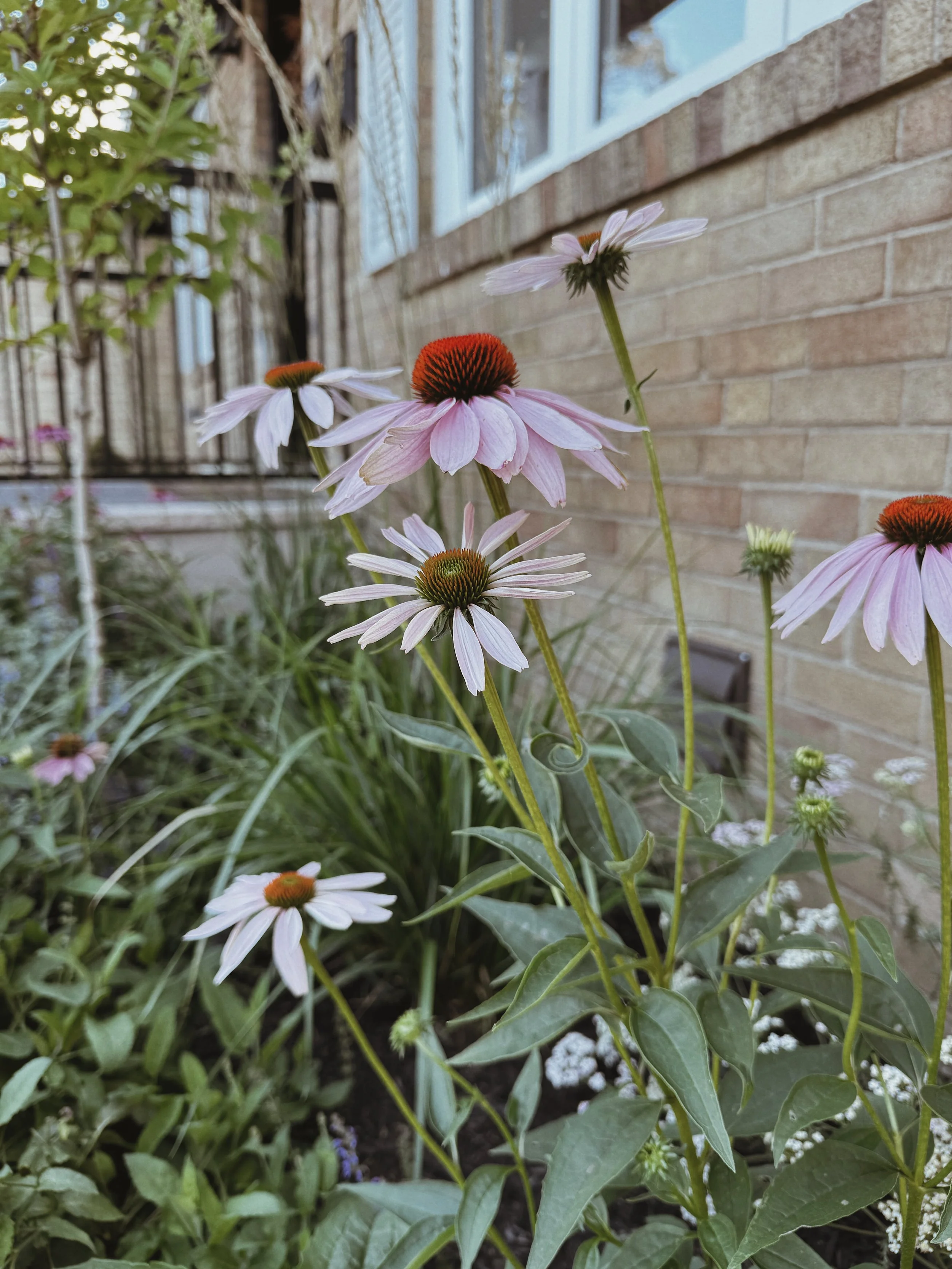 IMG_3355_VSCO.JPG