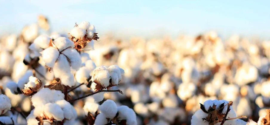 Moody's sees sustainability as opportunity for fashion, despite costs