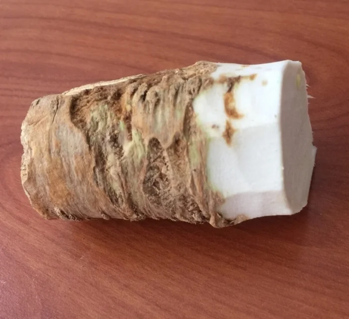 horseradish.JPG