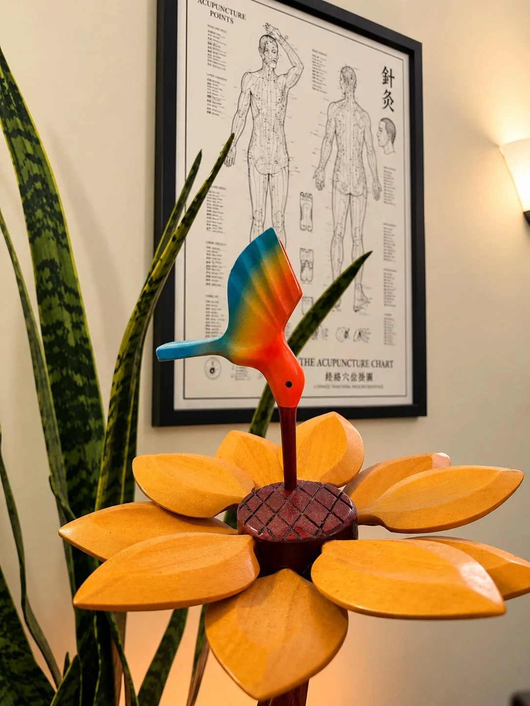 Wooden hummingbird beside an acupuncture chart