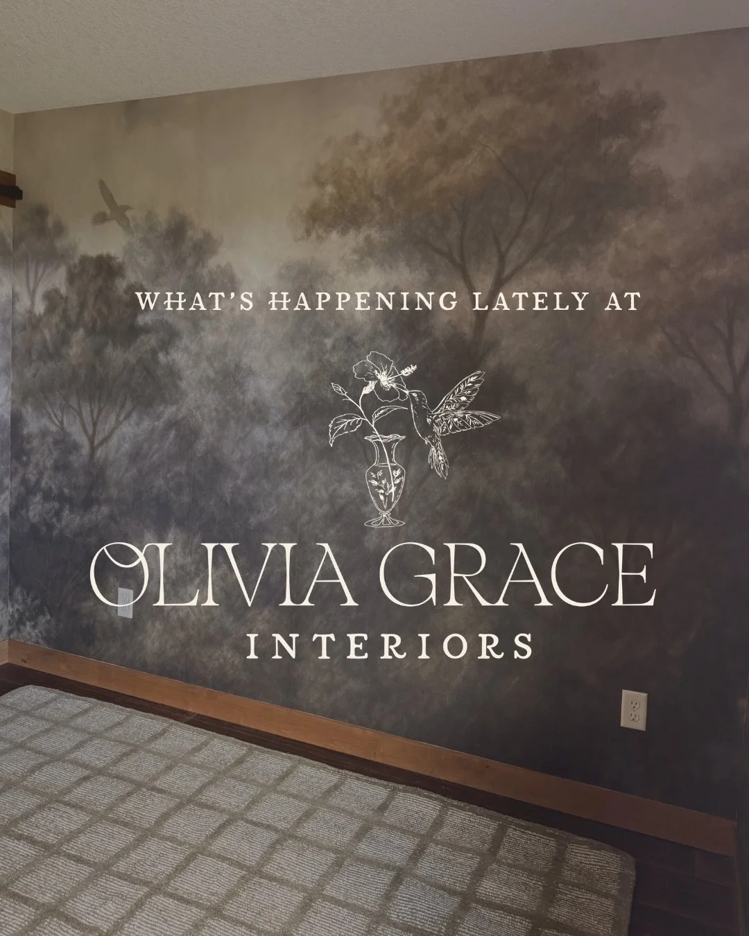 Little bits of what&rsquo;s happening at OGI lately 🕊️