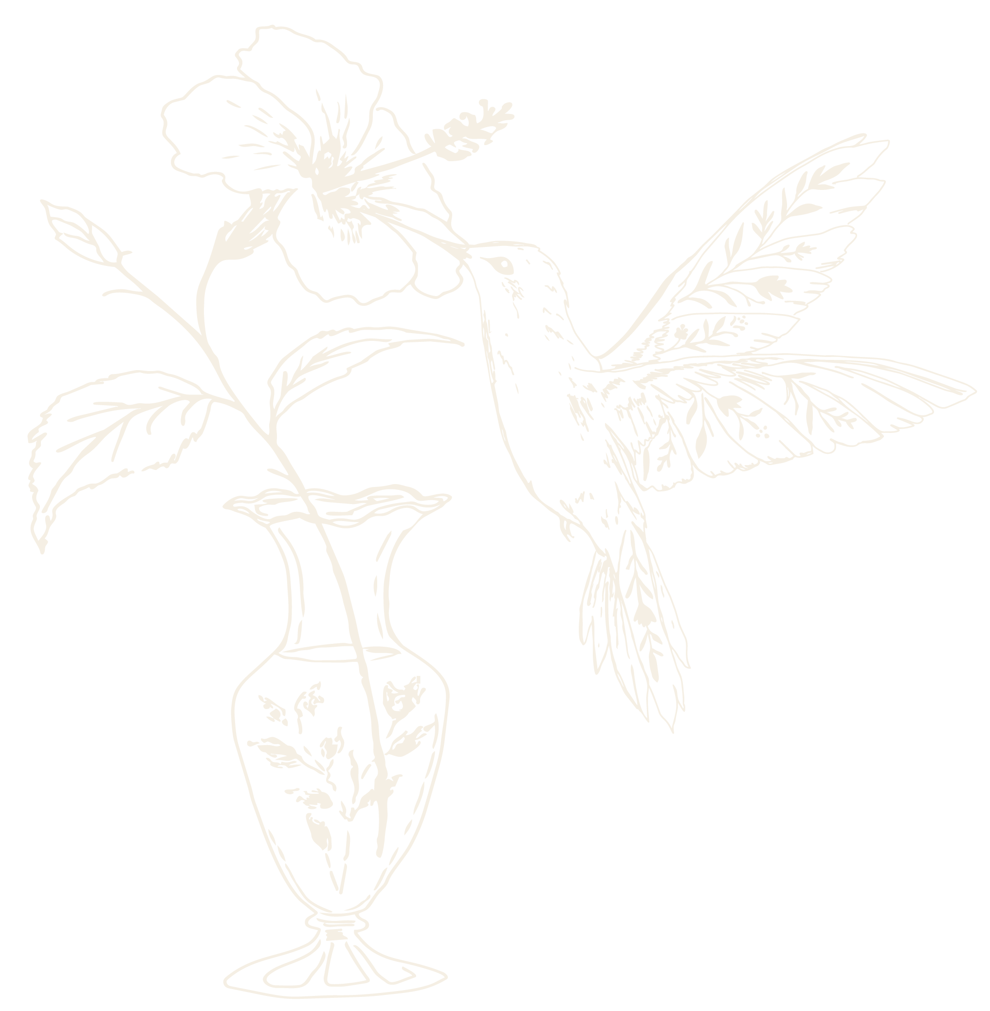 Black background with a white outline drawing of a hummingbird feeding from a large flower, surrounded by leaves.