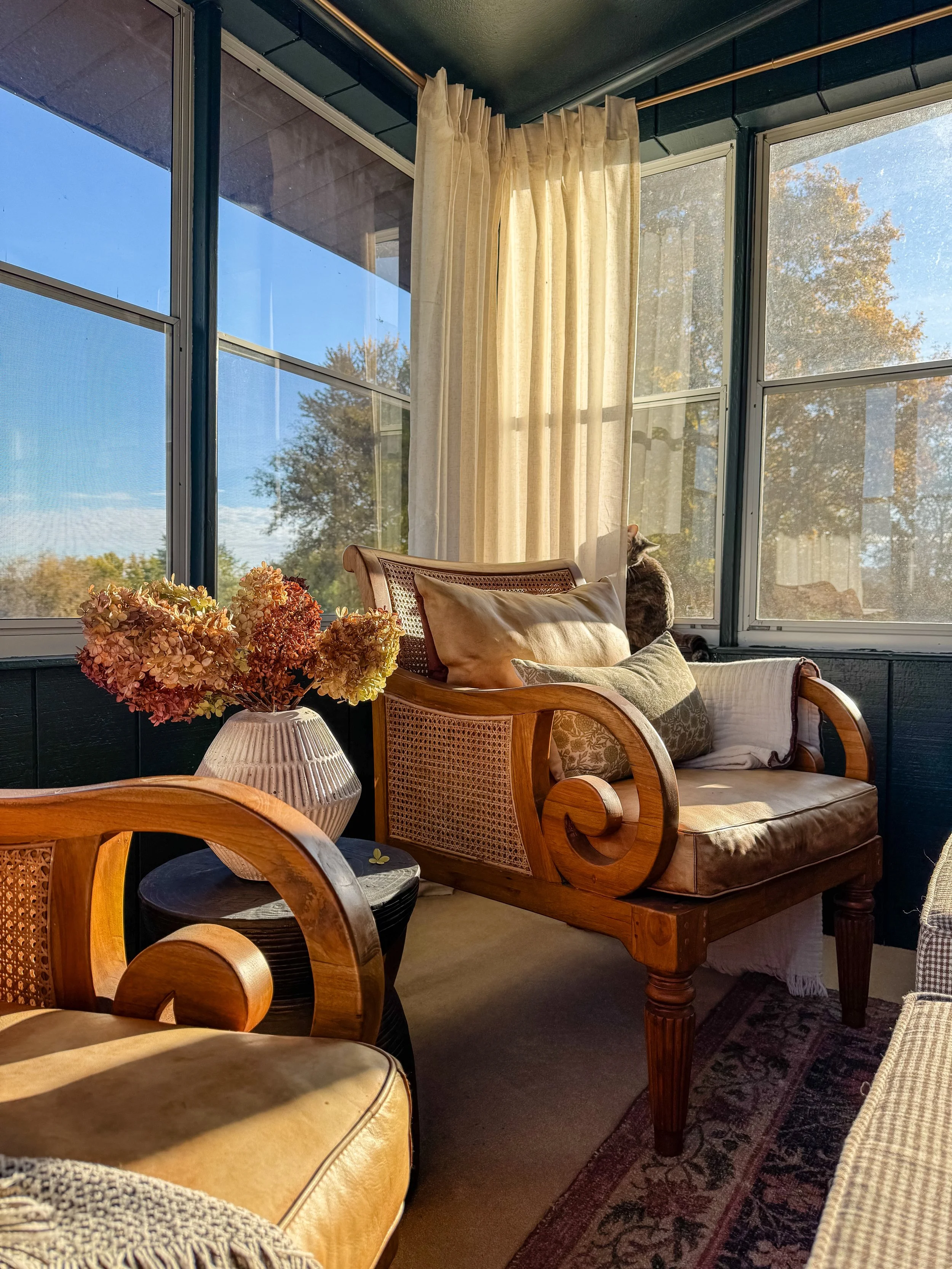 A sunlit corner of a room with large windows, beige curtains, a wooden daybed with multiple pillows, a small table with a vase of dried hydrangeas, and a patterned rug. A cat is sitting on the windowsill.