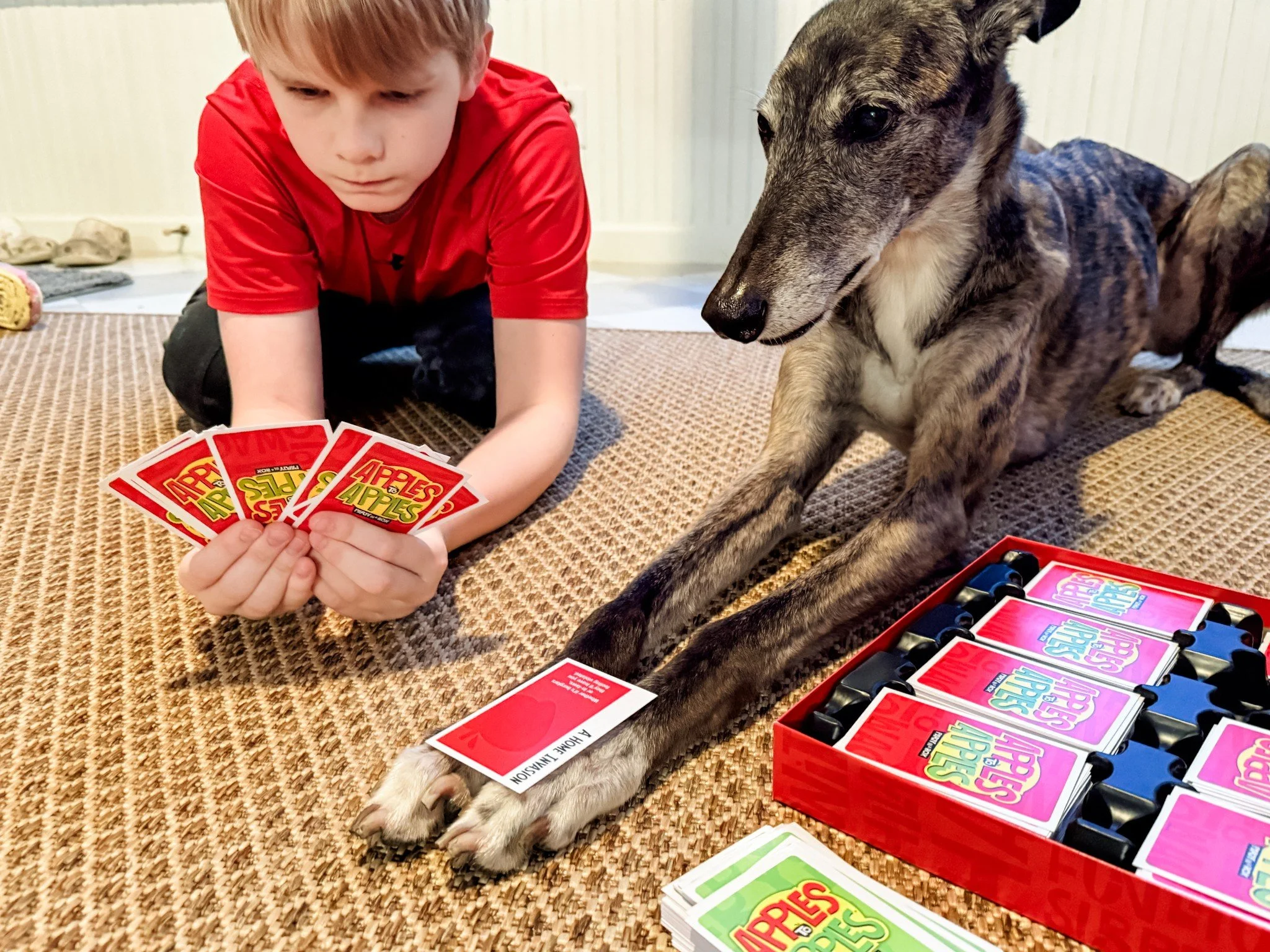 Lulu really wanted to be front and center for family game night. She's not super great with language, so Apples to Apples was a little tricky for her, but she persevered!

#FamilyGameNight #greyhoundsmakegreatpets #barkleyandco