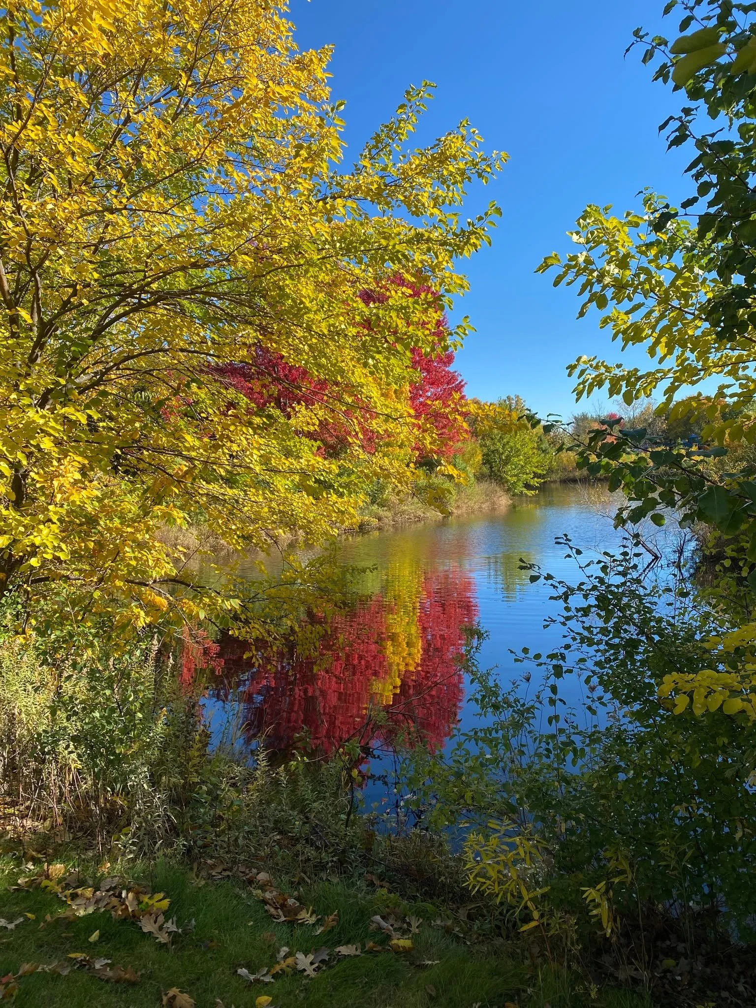 What if your dog's walk became an adventure?

We're working on something exciting at Barkley &amp; Co. 👀

Think: 🌲 Forest preserves 🐾 Small groups 🚙 Safe transportation 🤎 New experiences

Would your dog enjoy something like that? Comment below!