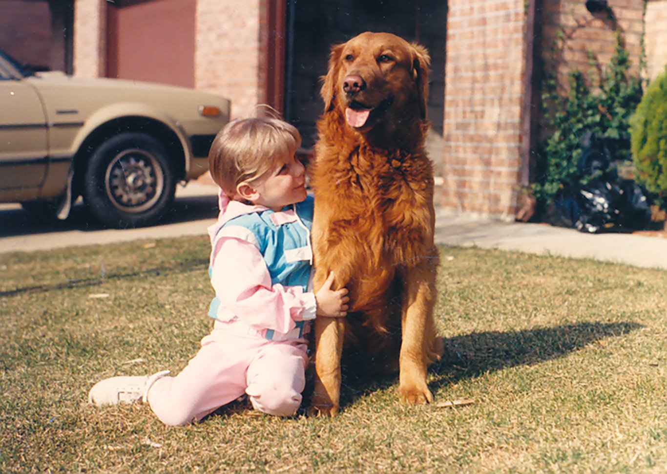 A young child with short, light brown hair wearing a pastel-colored jacket and pink pants sits on the grass, hugging a large golden retriever dog outdoors in front of a brick building with a car parked nearby.