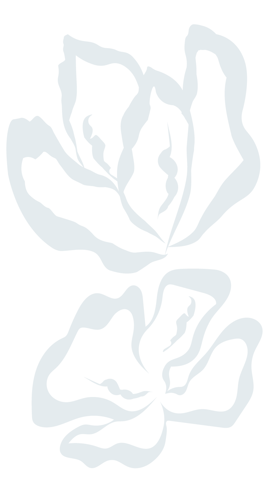 Stylized light blue outline of a rose on a black background.