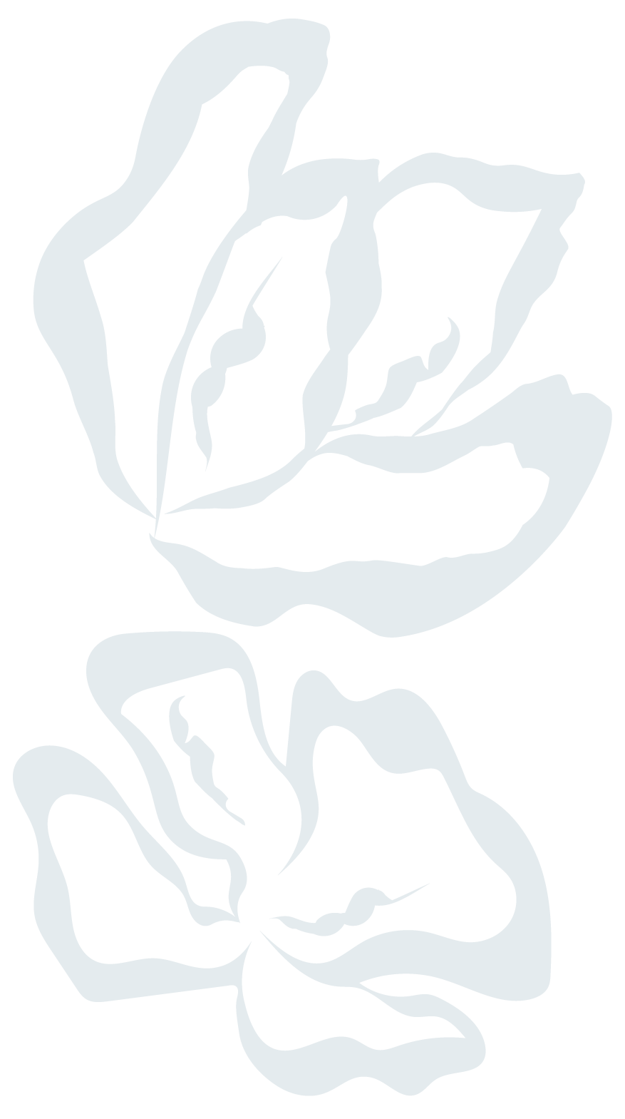 Stylized illustration of two butterflies with wings outlined in light blue on a black background.