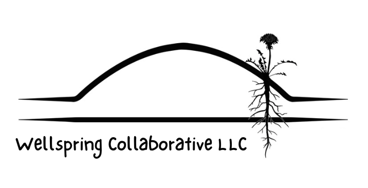 Wellspring Collaborative LLC