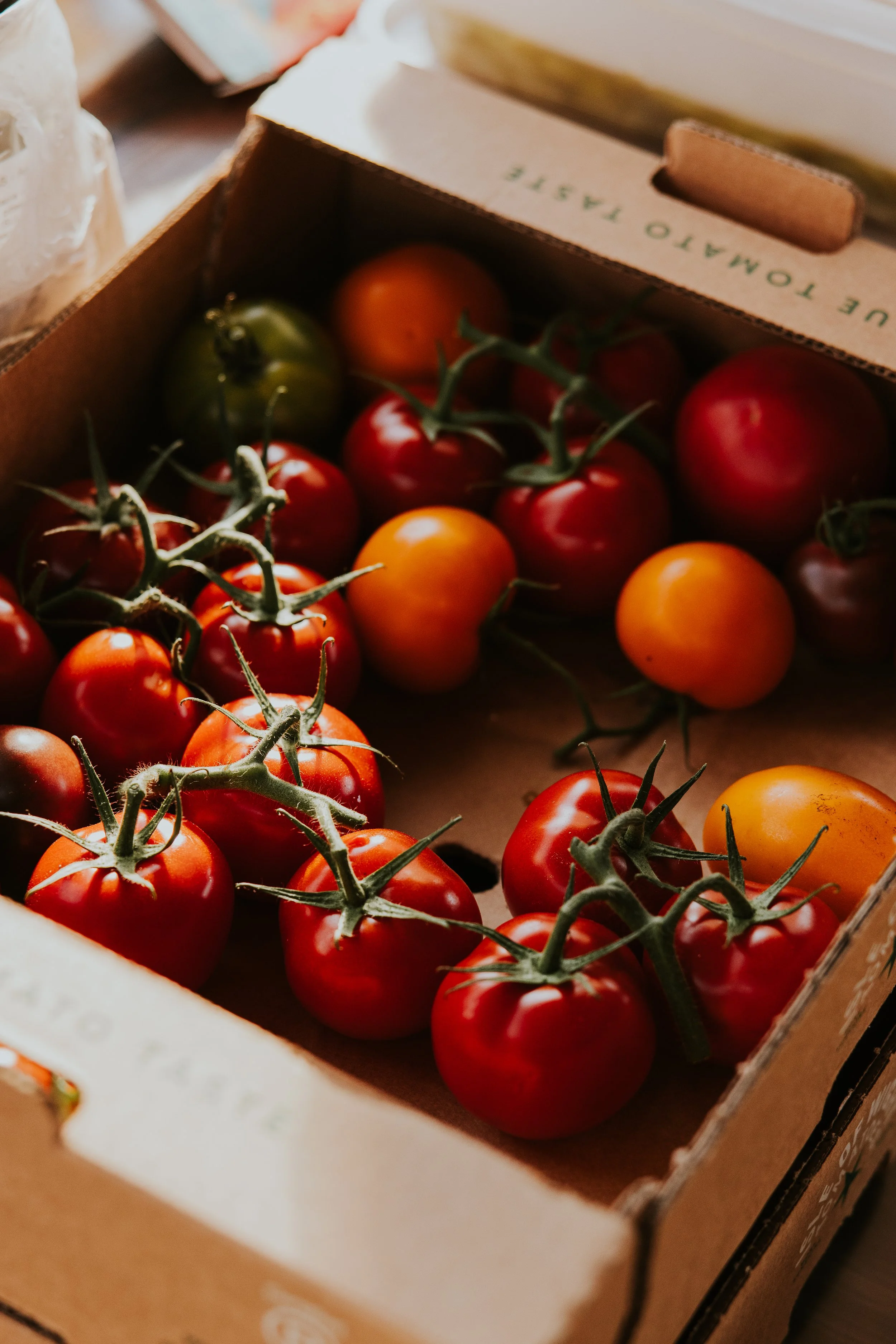 Crate of fresh heritage vine tomatoes, local food producer photography - Josh Ward Creative
