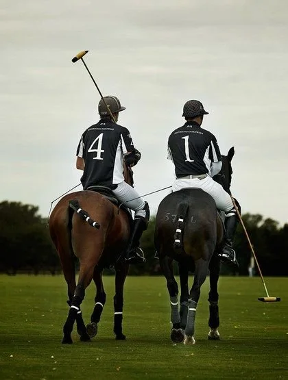 Polo Match