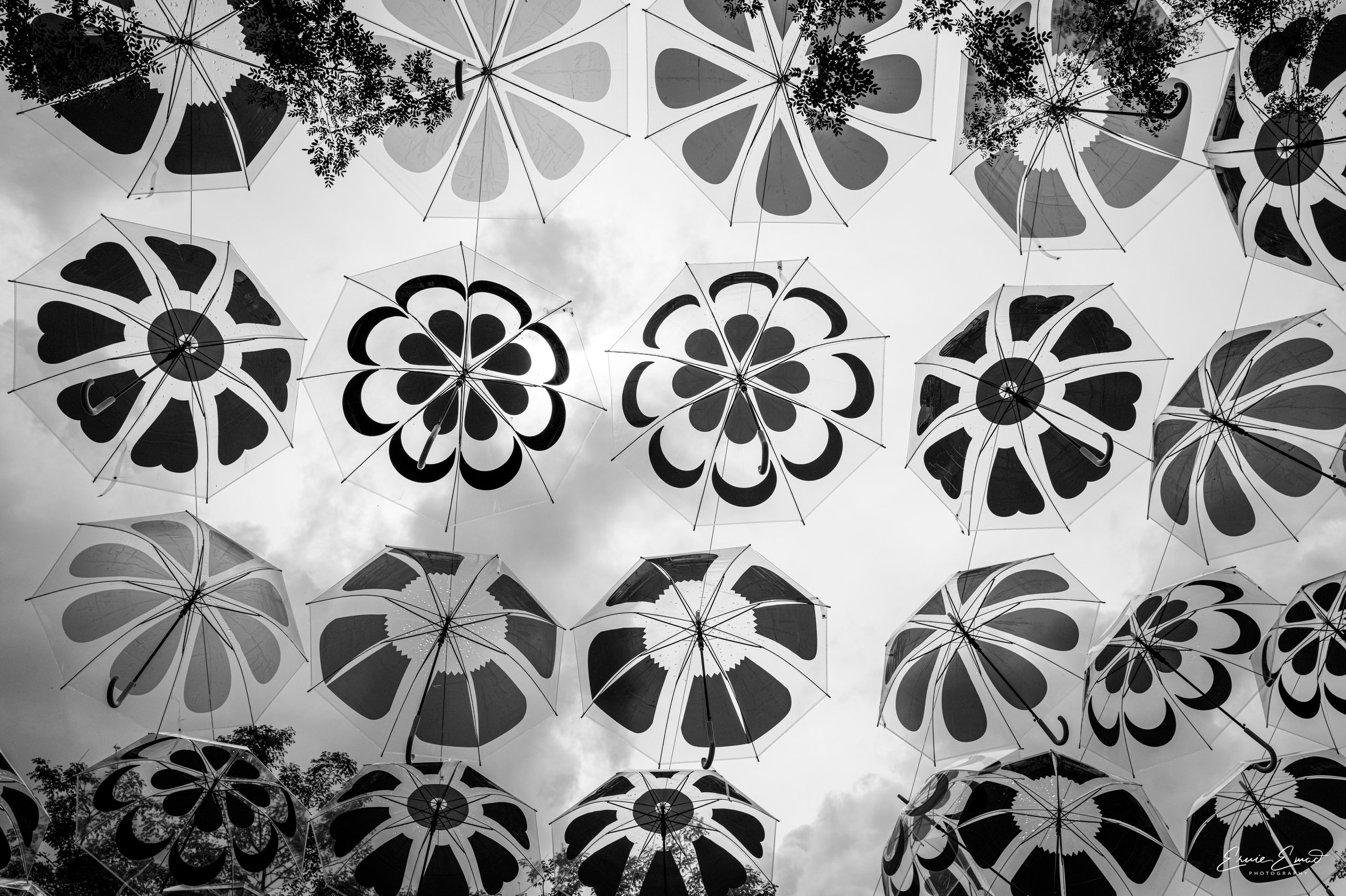The umbrella art installation over Giralda Plaza in Coral gables